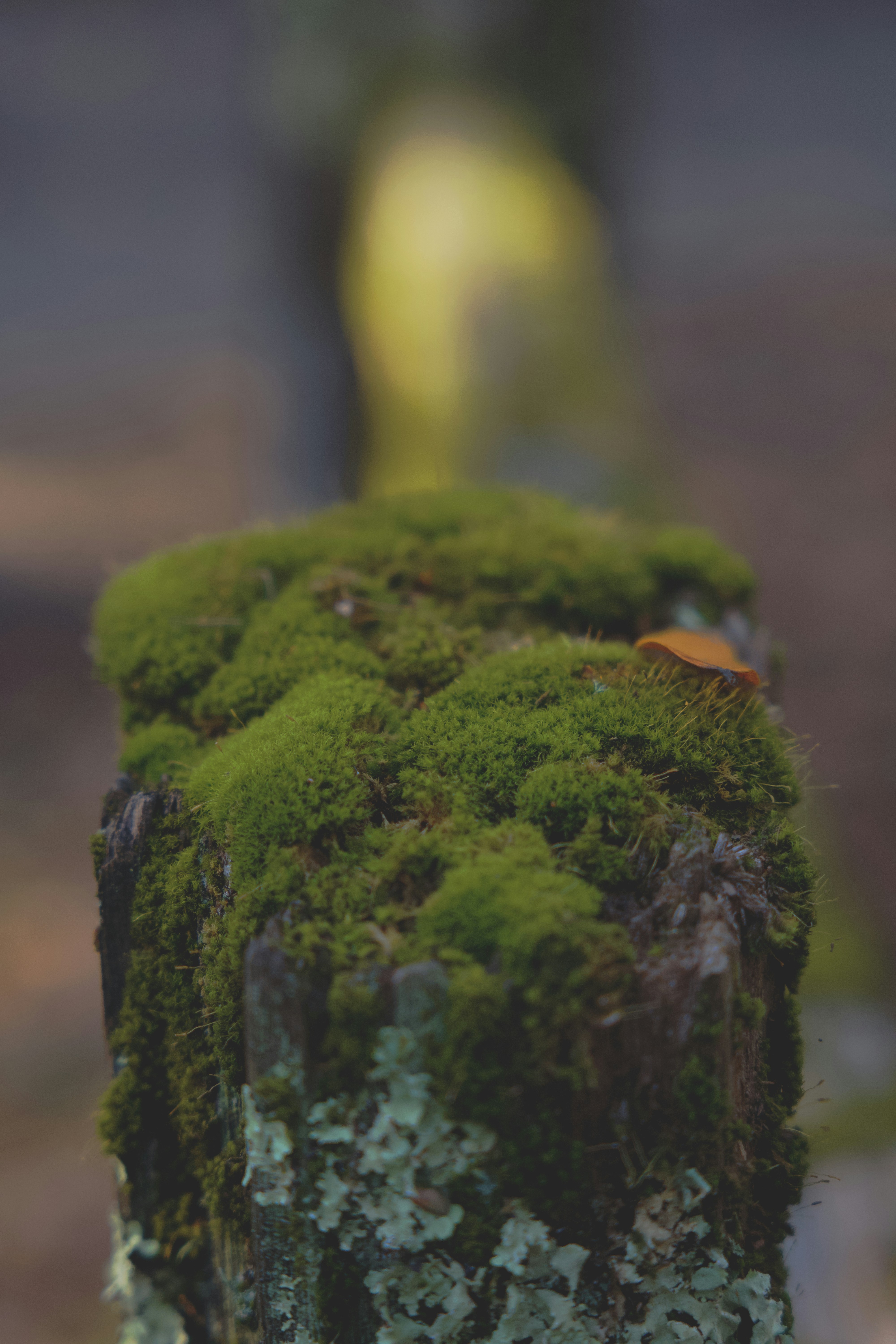 Photo by spencer_demera