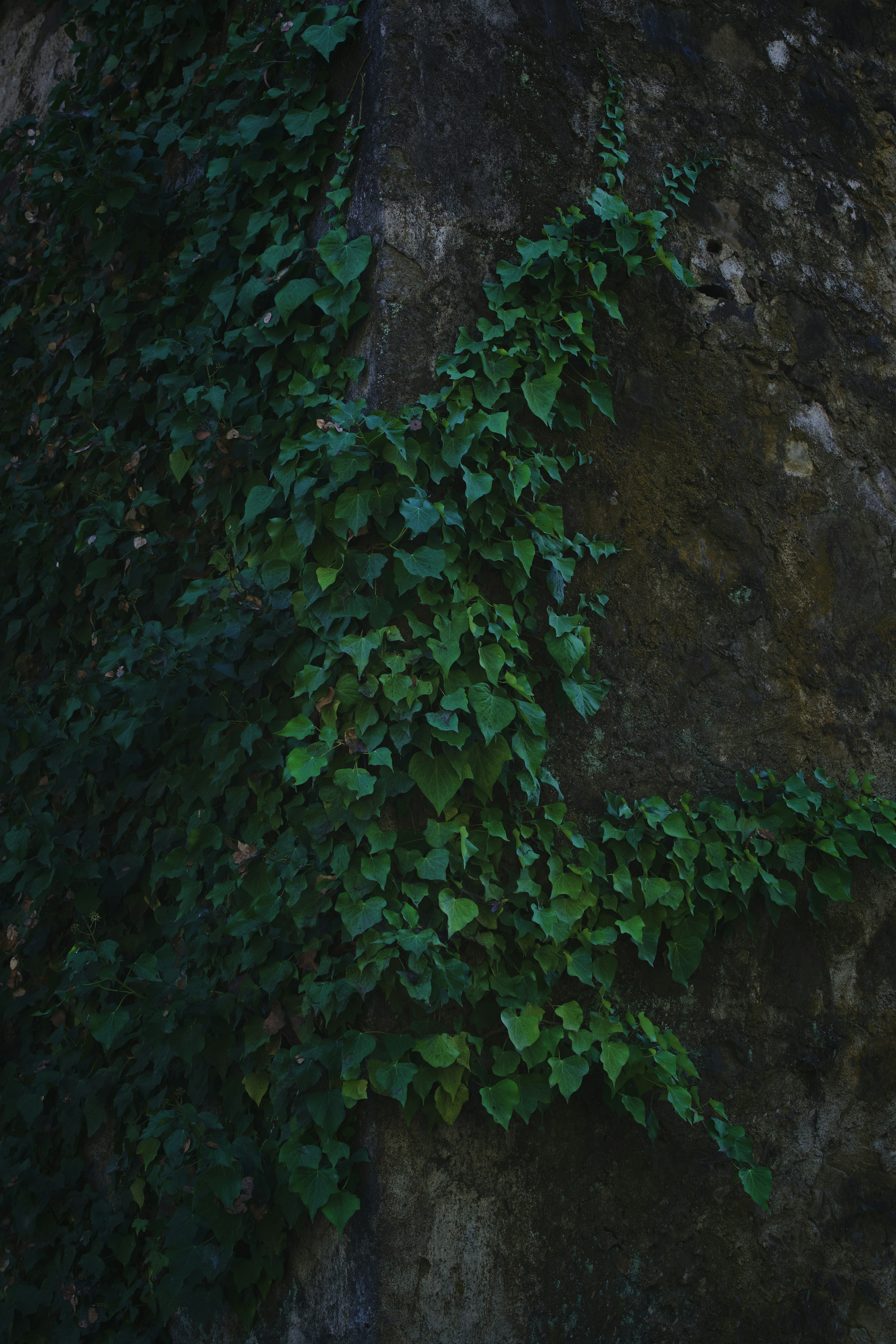 Photo by spencer_demera