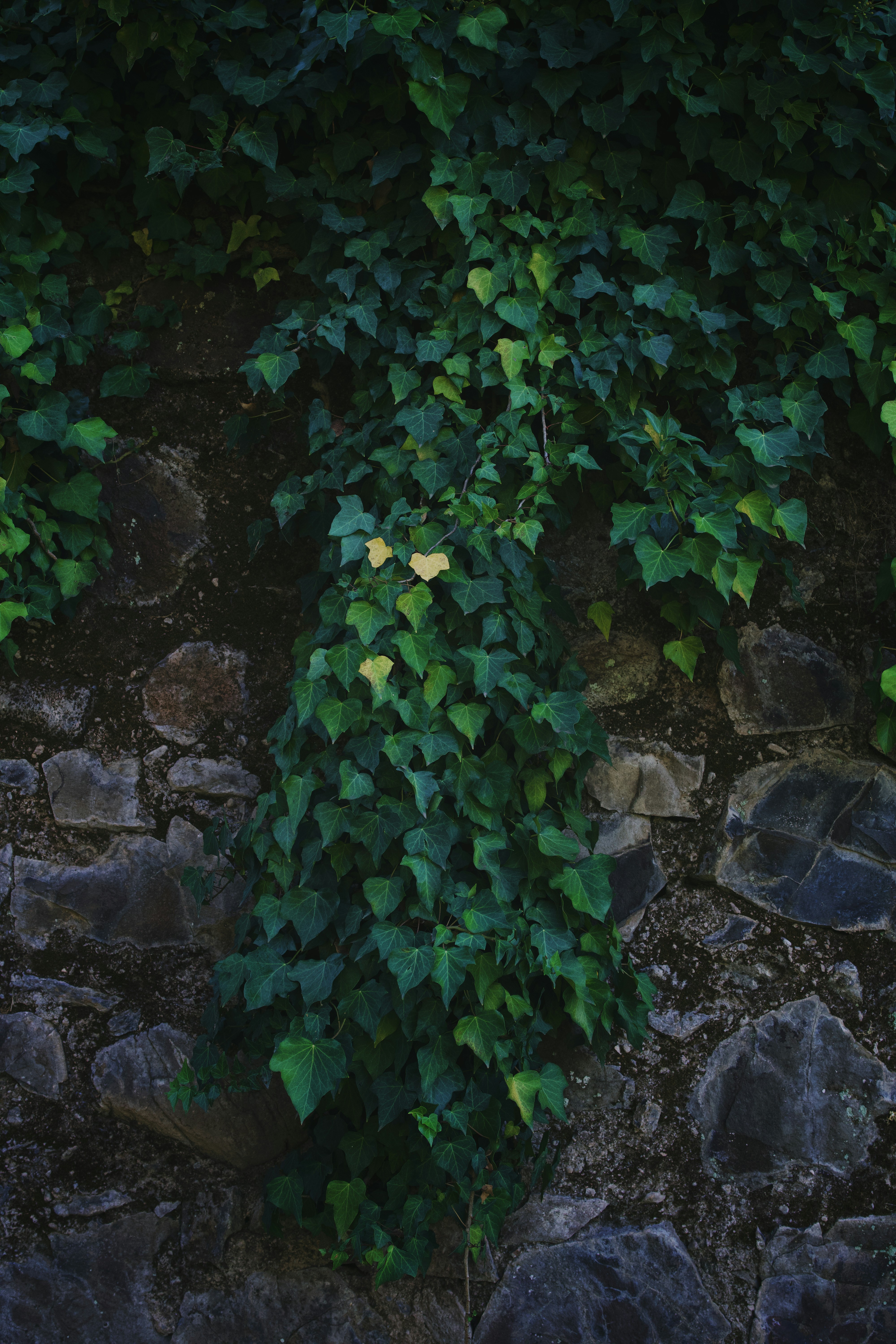 Photo by spencer_demera