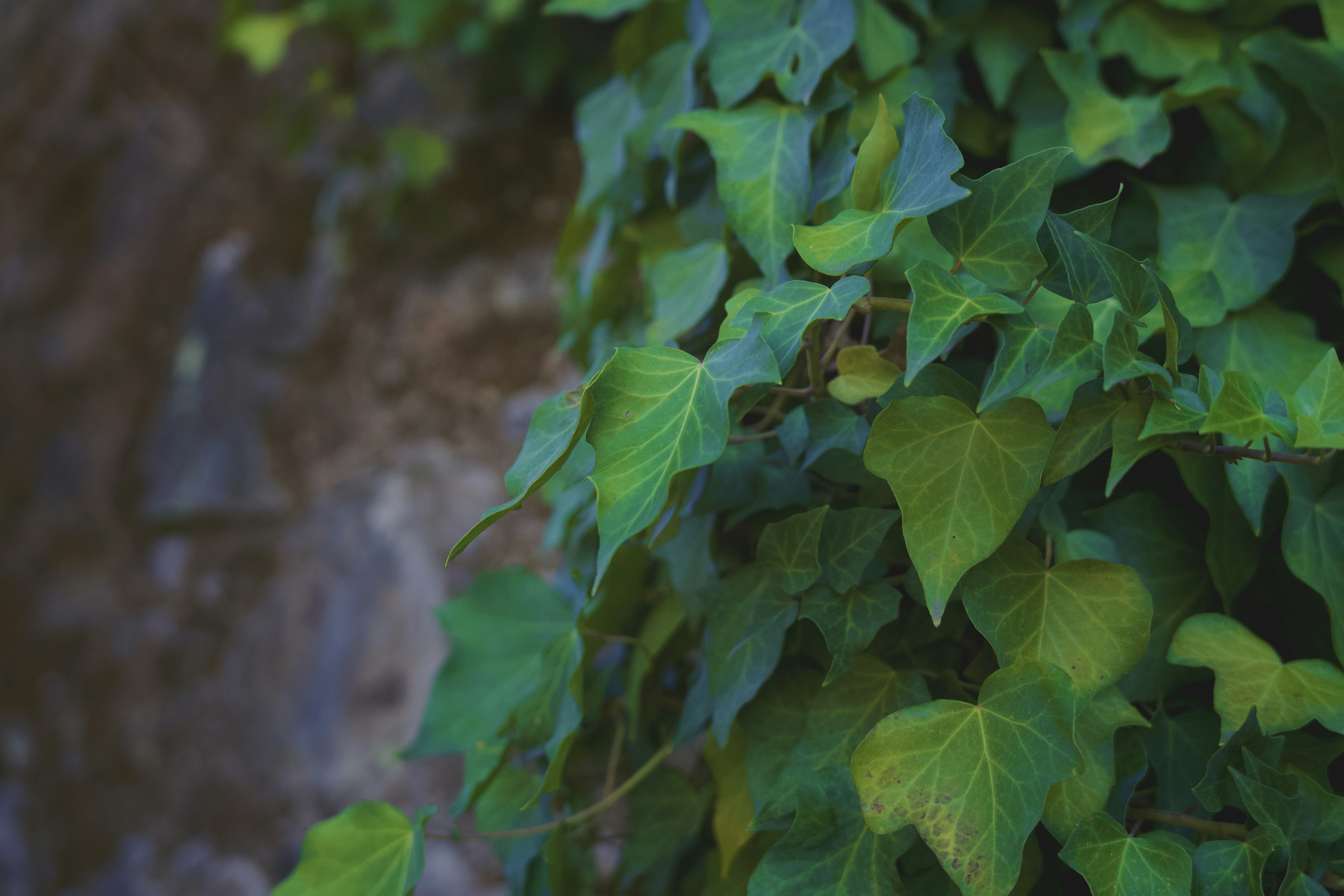 Photo by spencer_demera