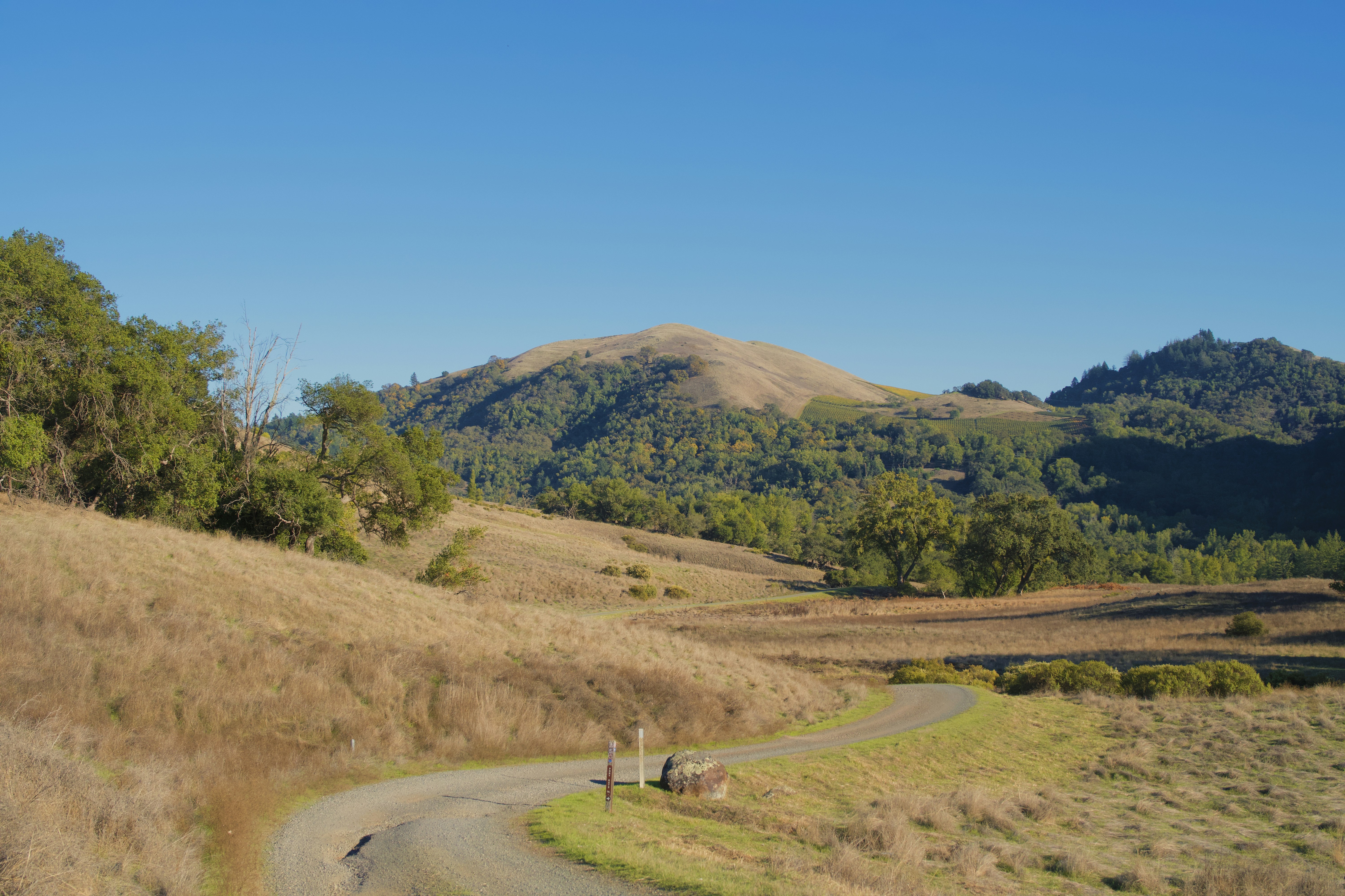 Photo by spencer_demera