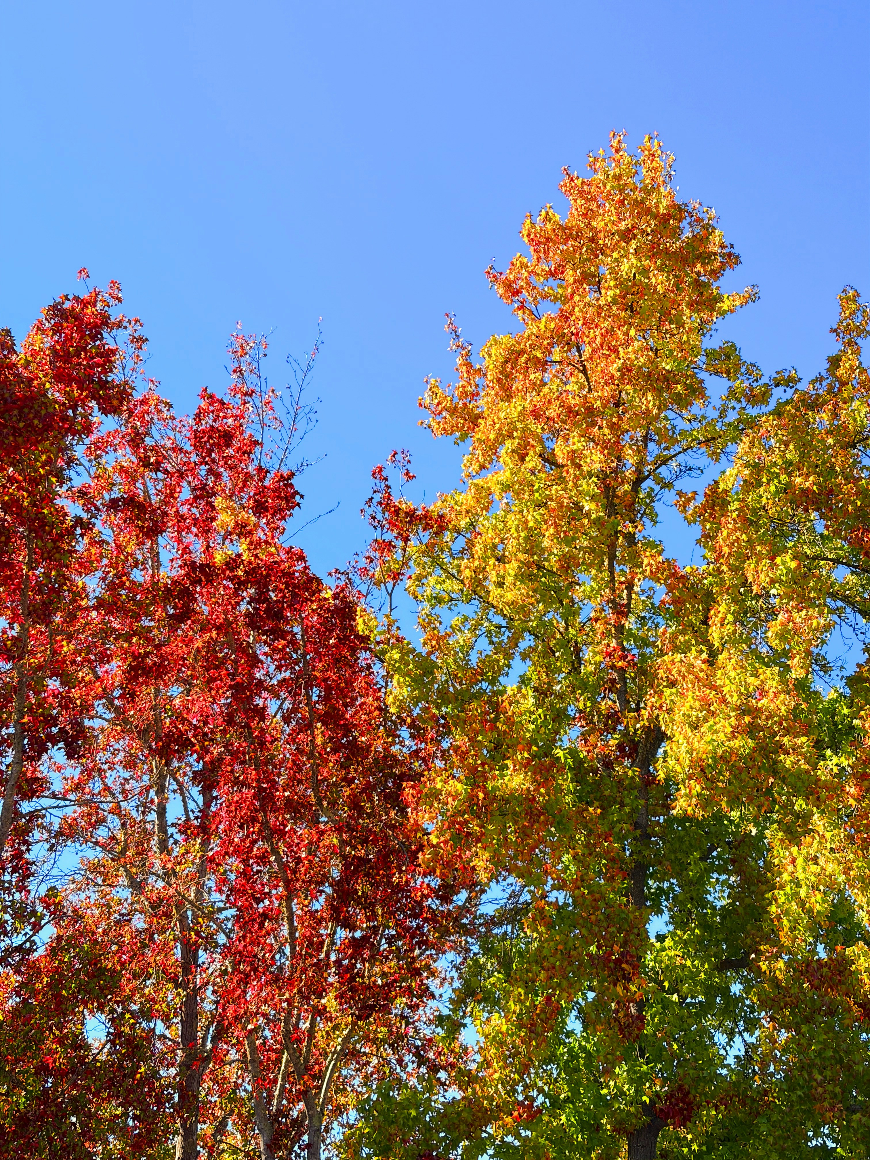 Photo by spencer_demera