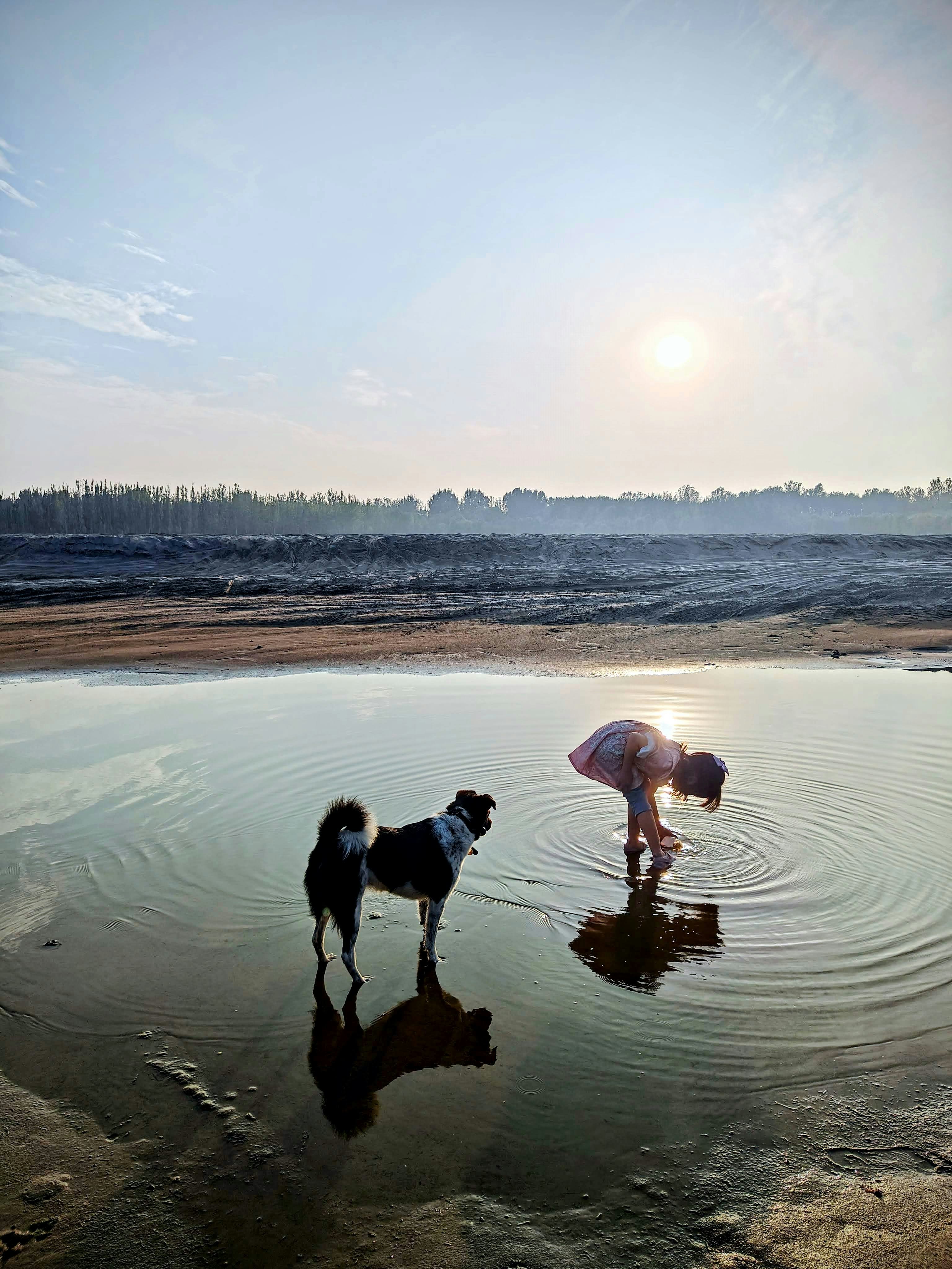 Child and dog by a shallow body of water.