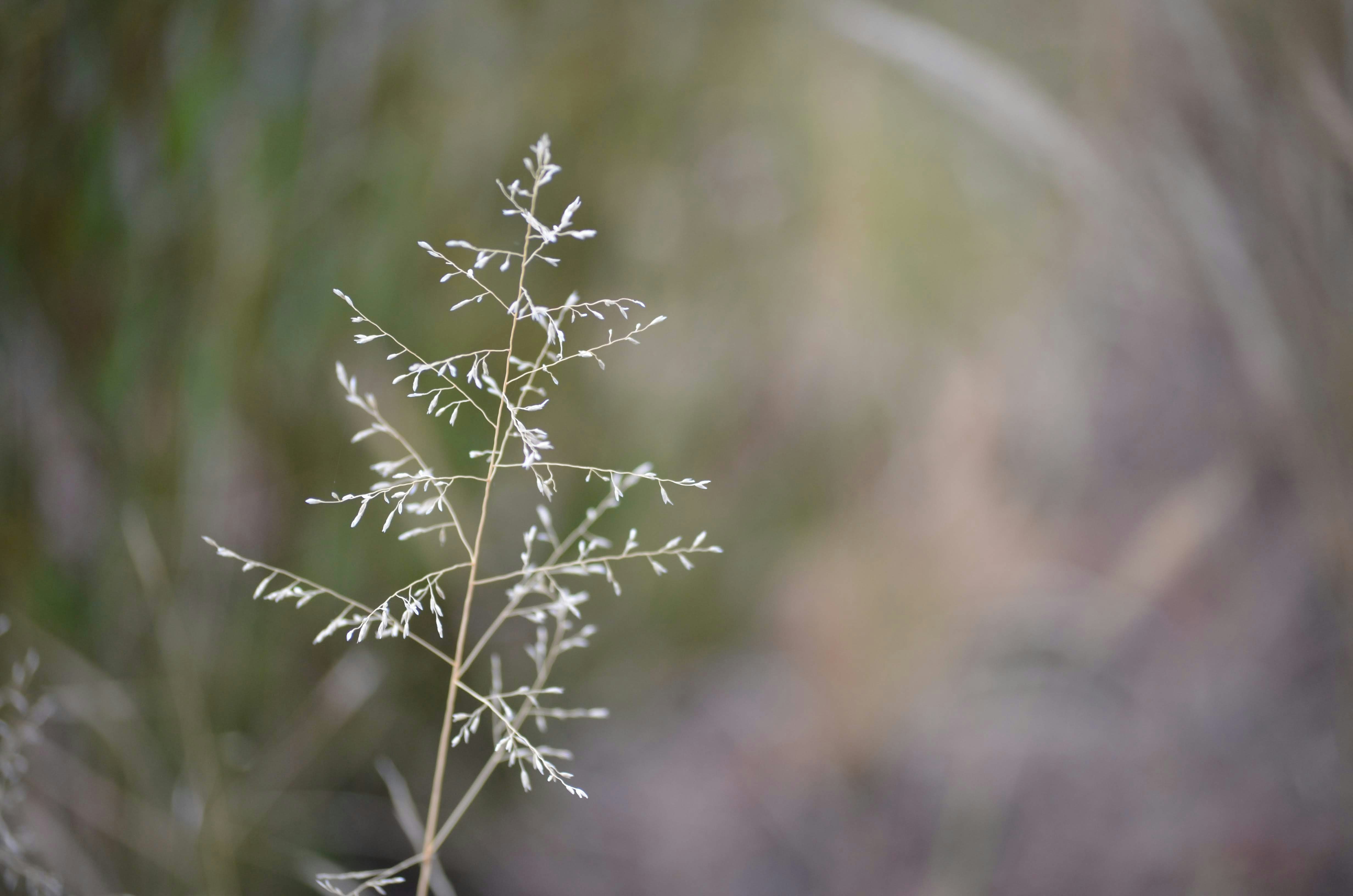 Photo by jacqueline217