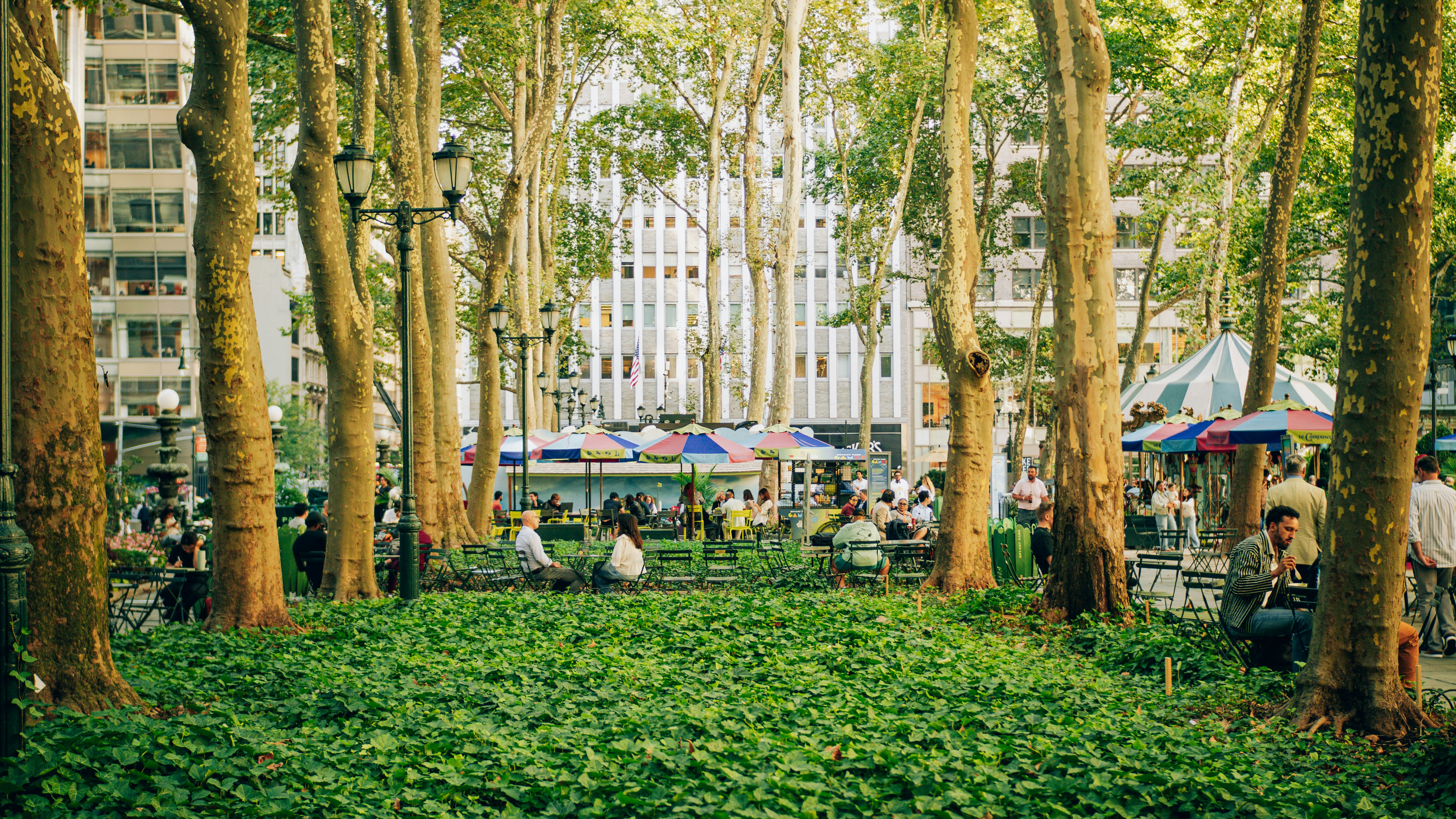 People relaxing in a park surrounded by trees and buildings.