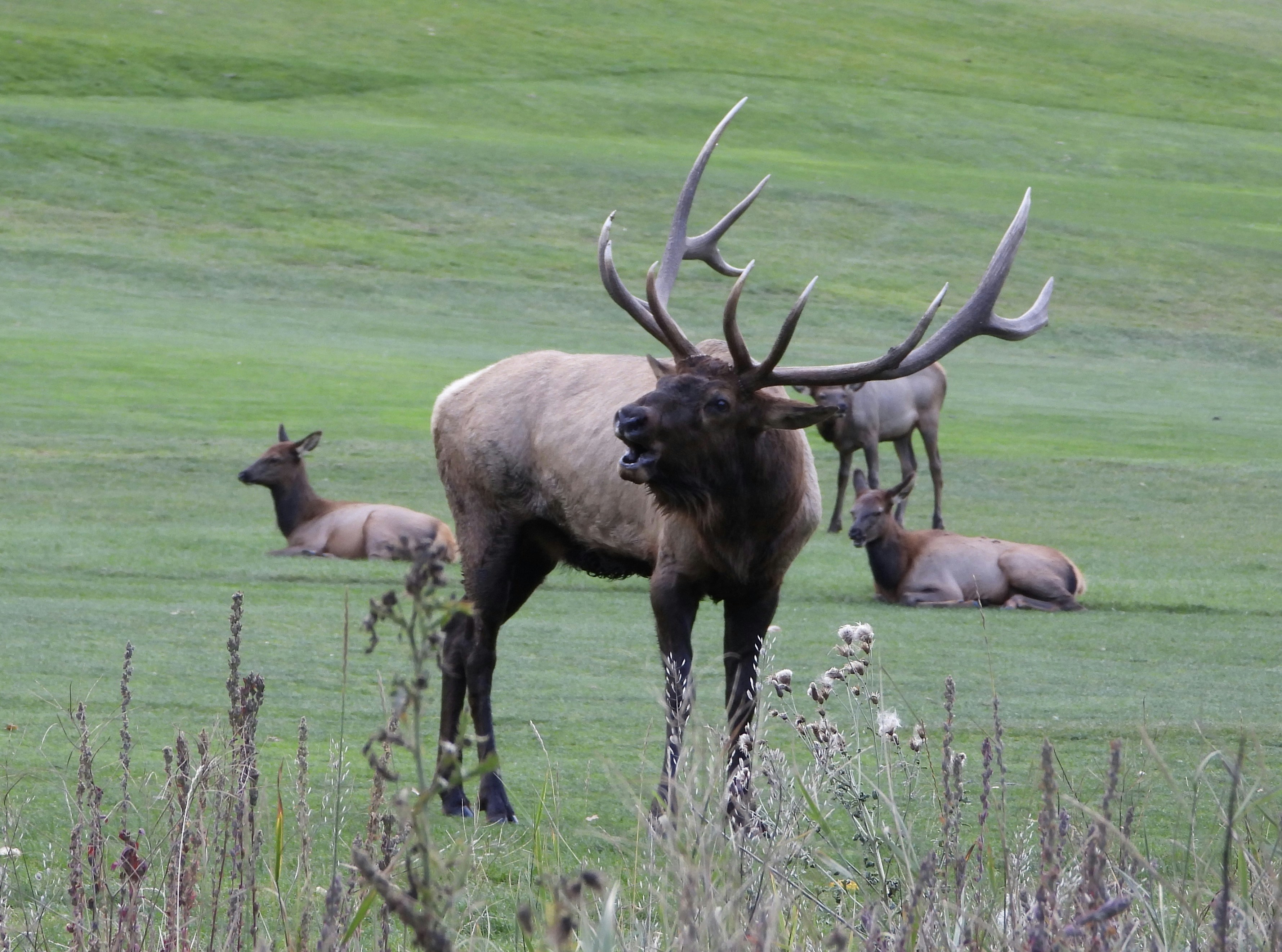 Photo by evergreene24