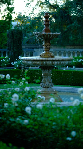 A stone fountain in a garden with white roses