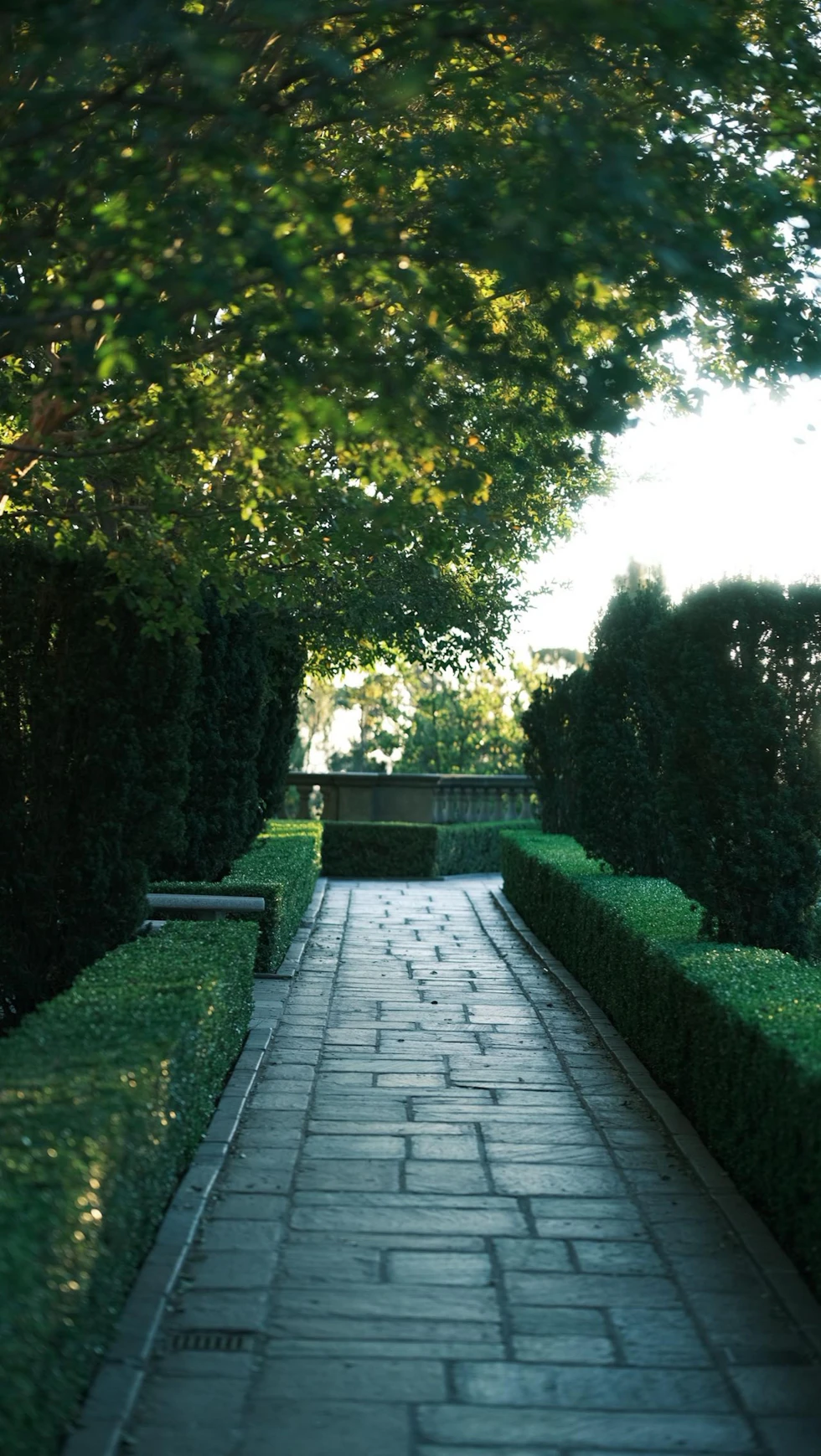 Illustrative garden and manicured path