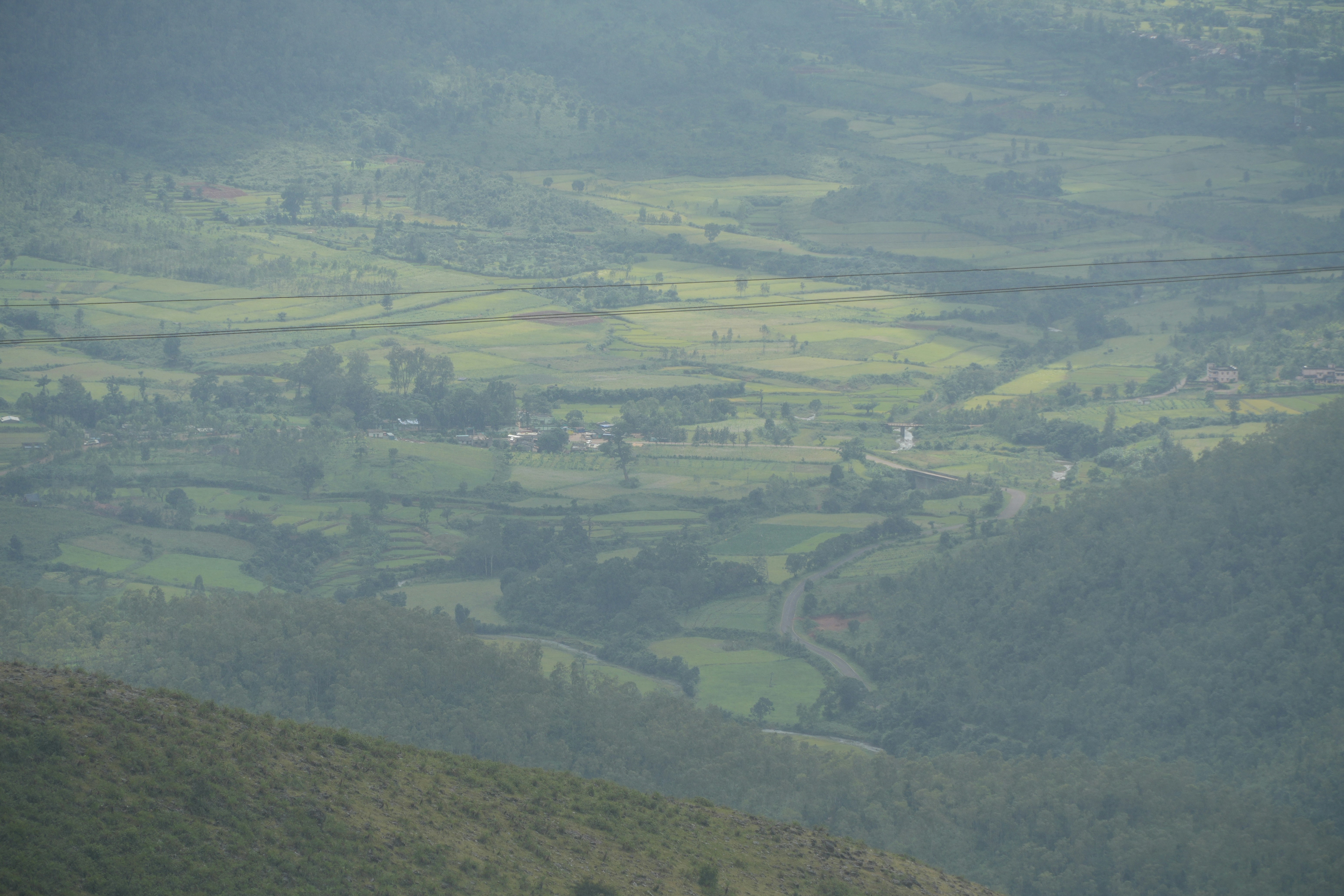 Green rolling hills with a valley and trees