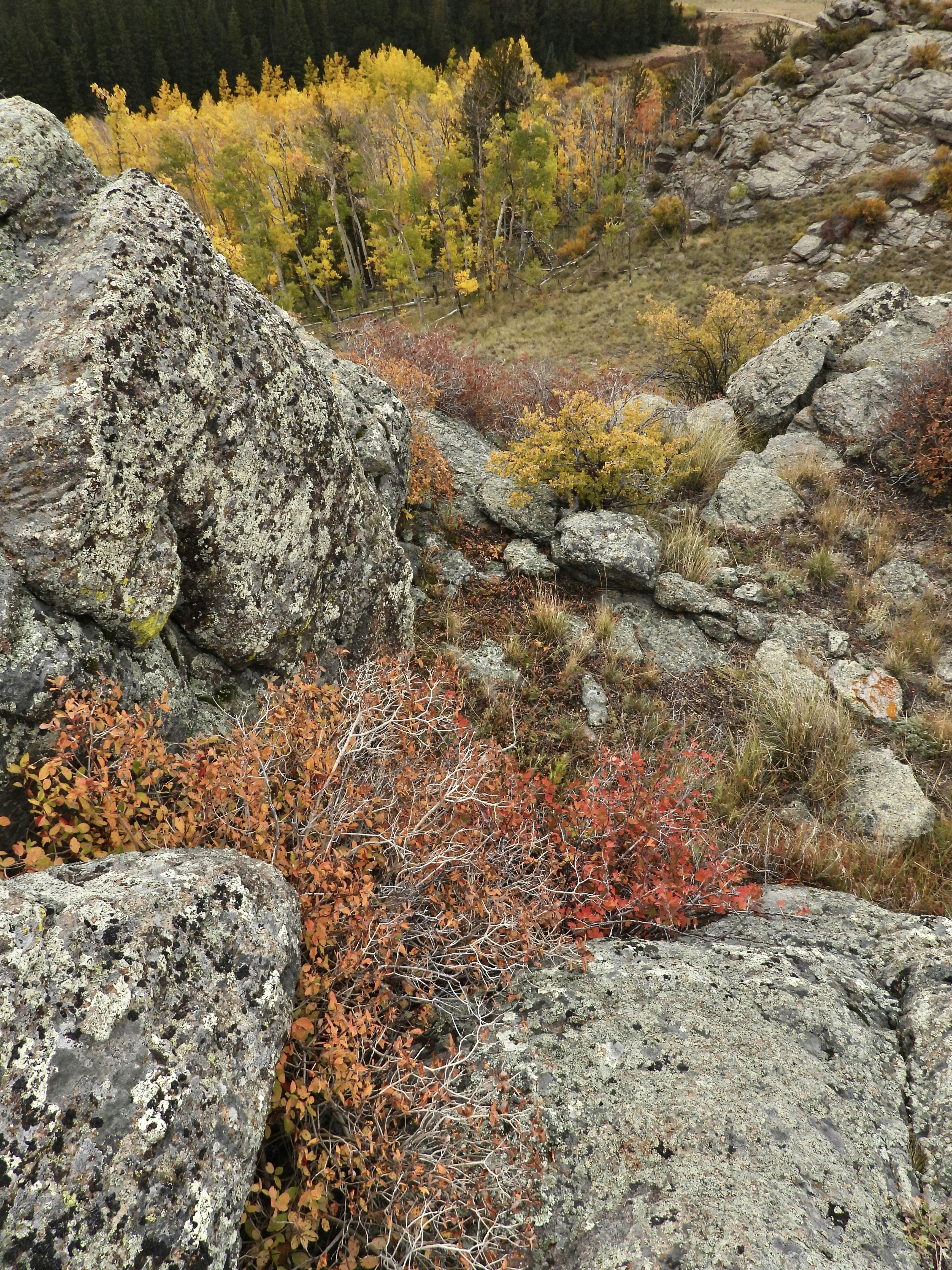 Photo by evergreene24