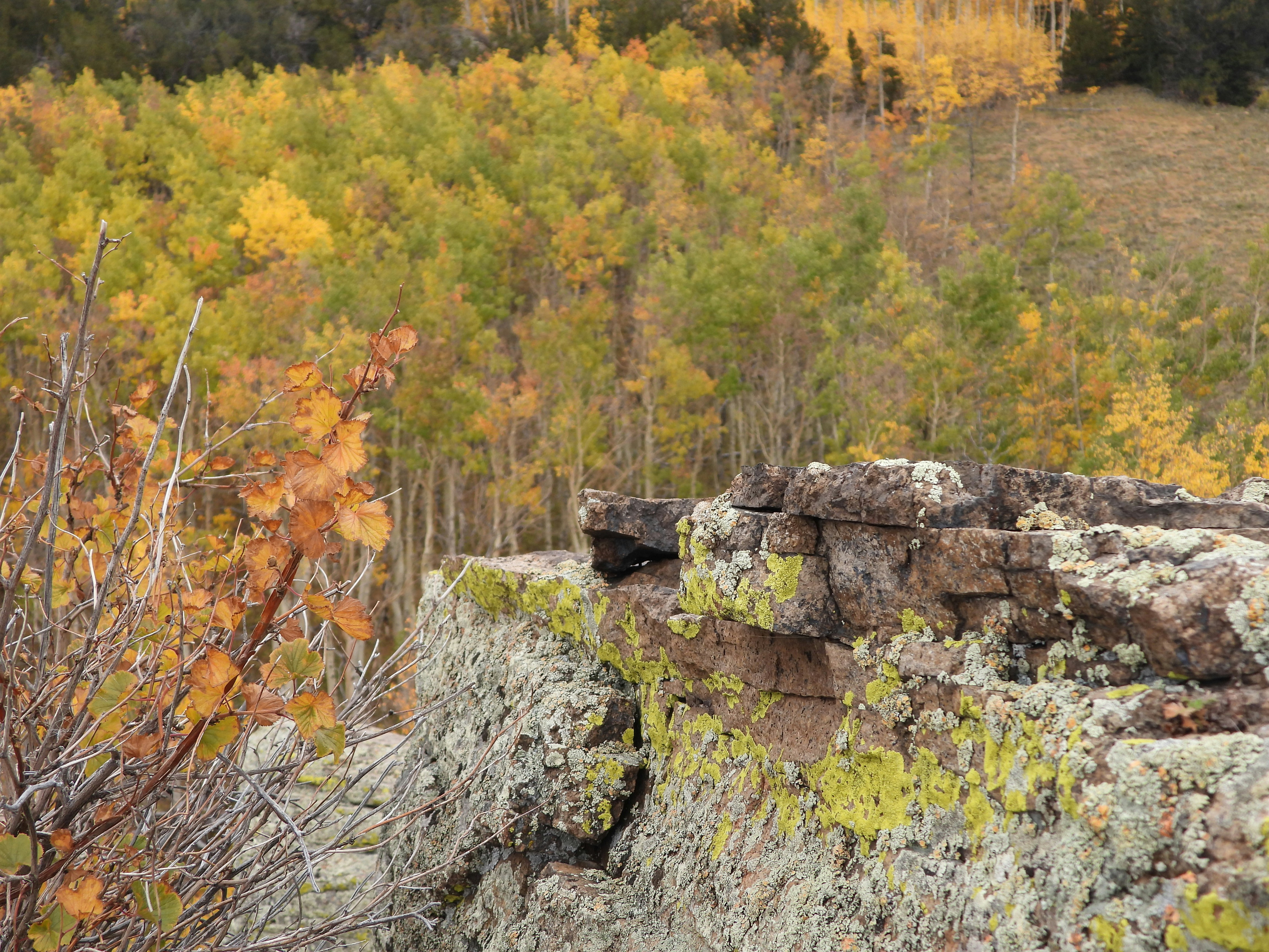 Photo by evergreene24