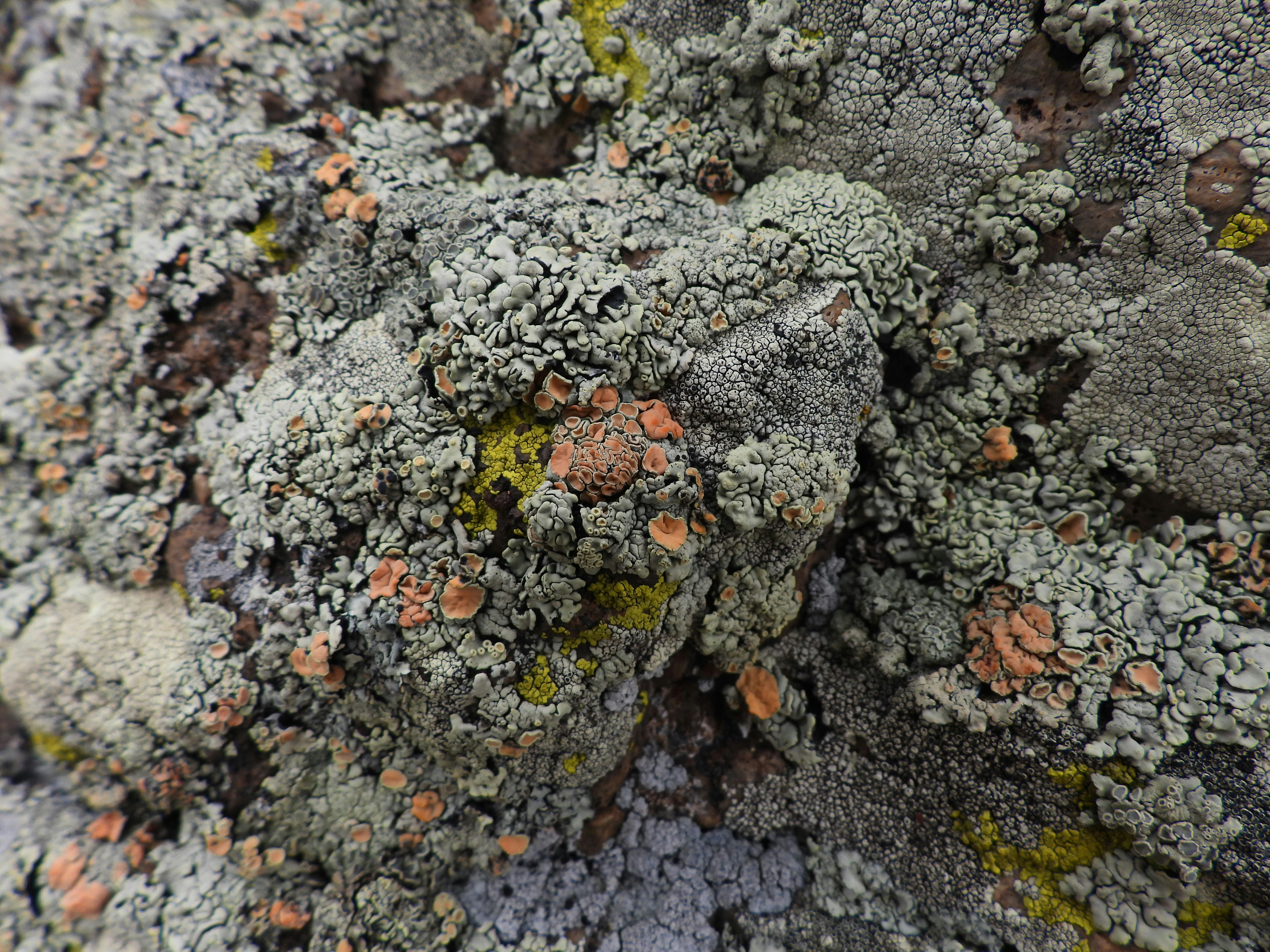 Photo by evergreene24