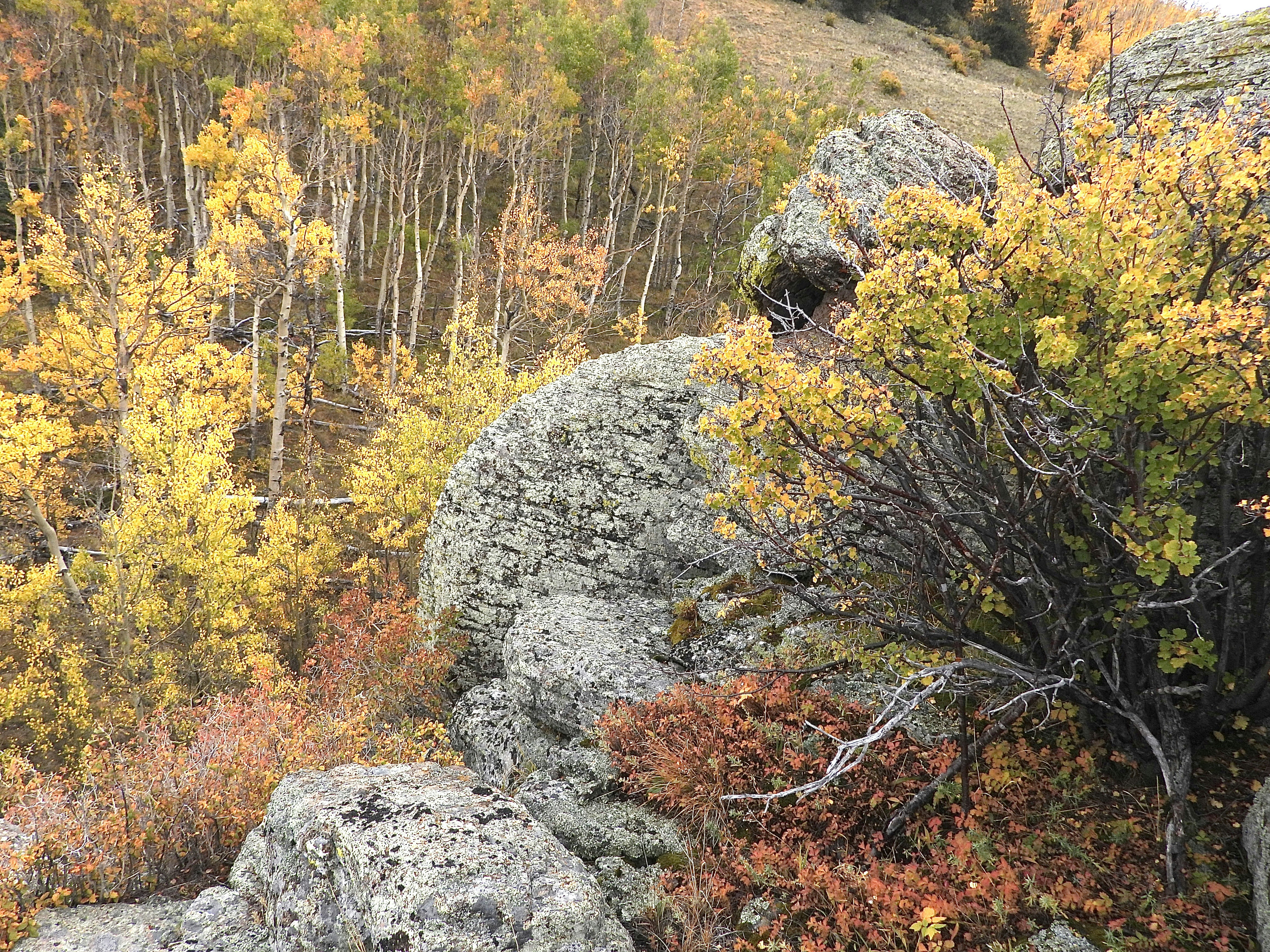 Photo by evergreene24