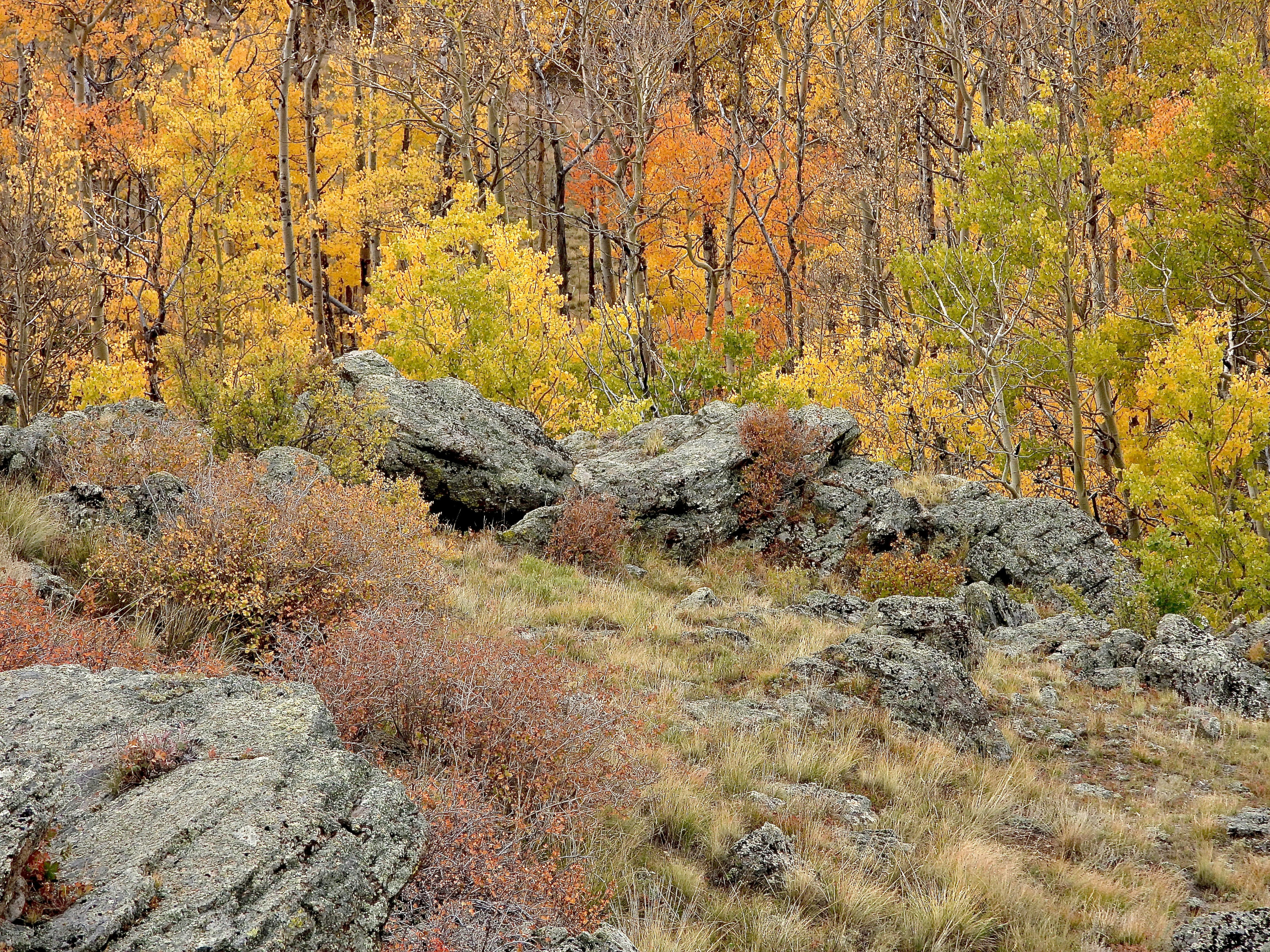 Photo by evergreene24