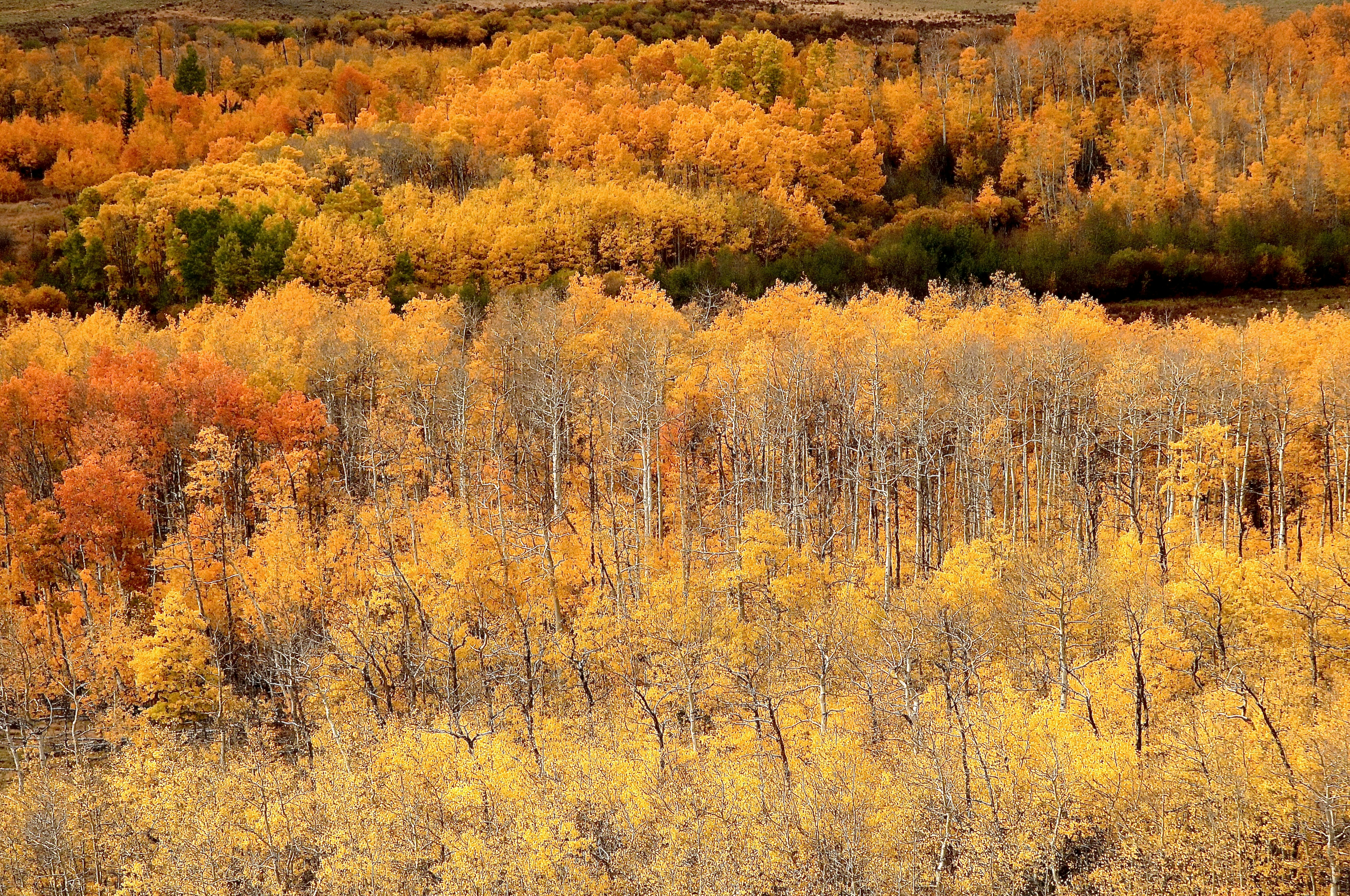 Photo by evergreene24