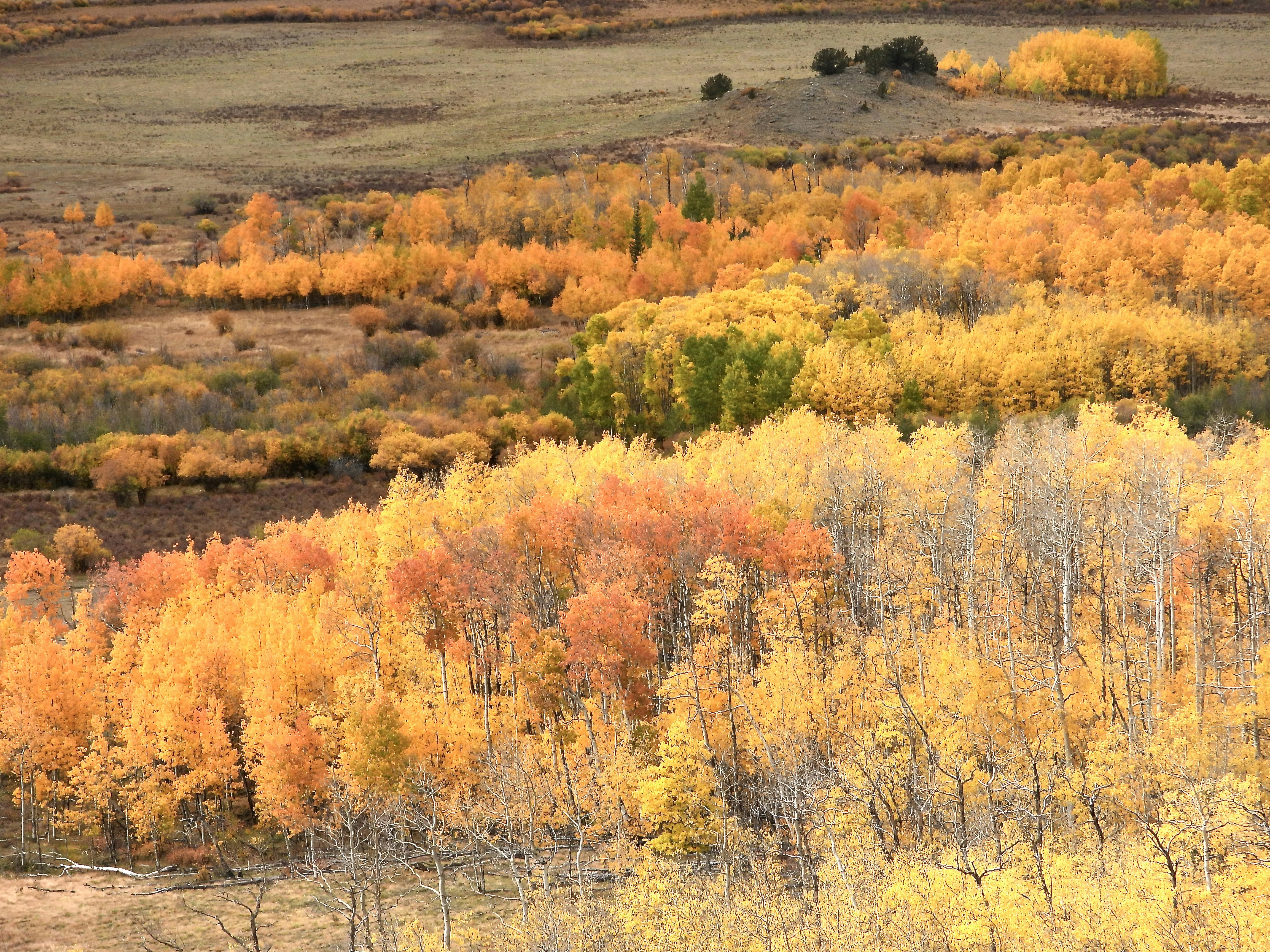 Photo by evergreene24