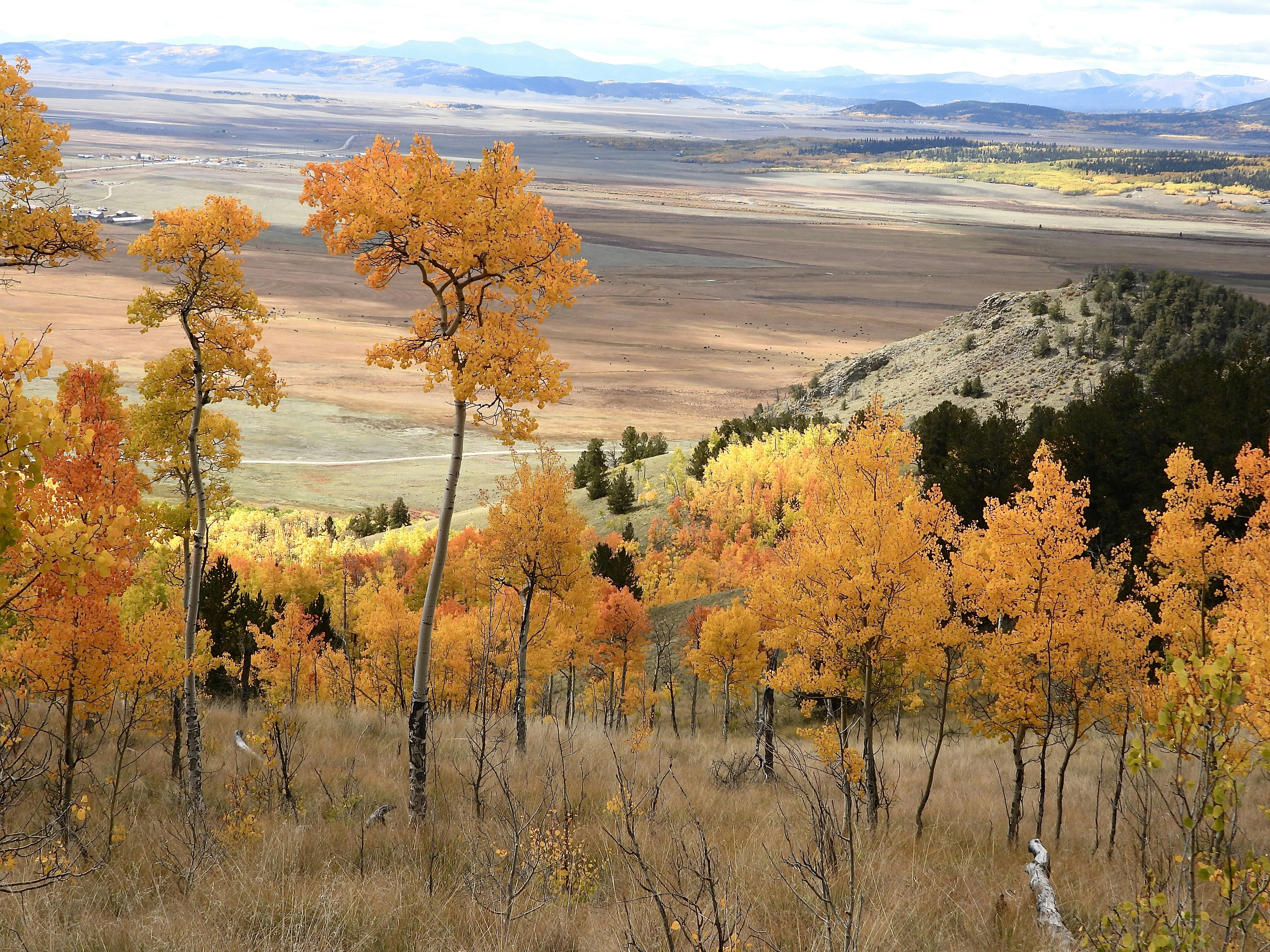 Photo by evergreene24