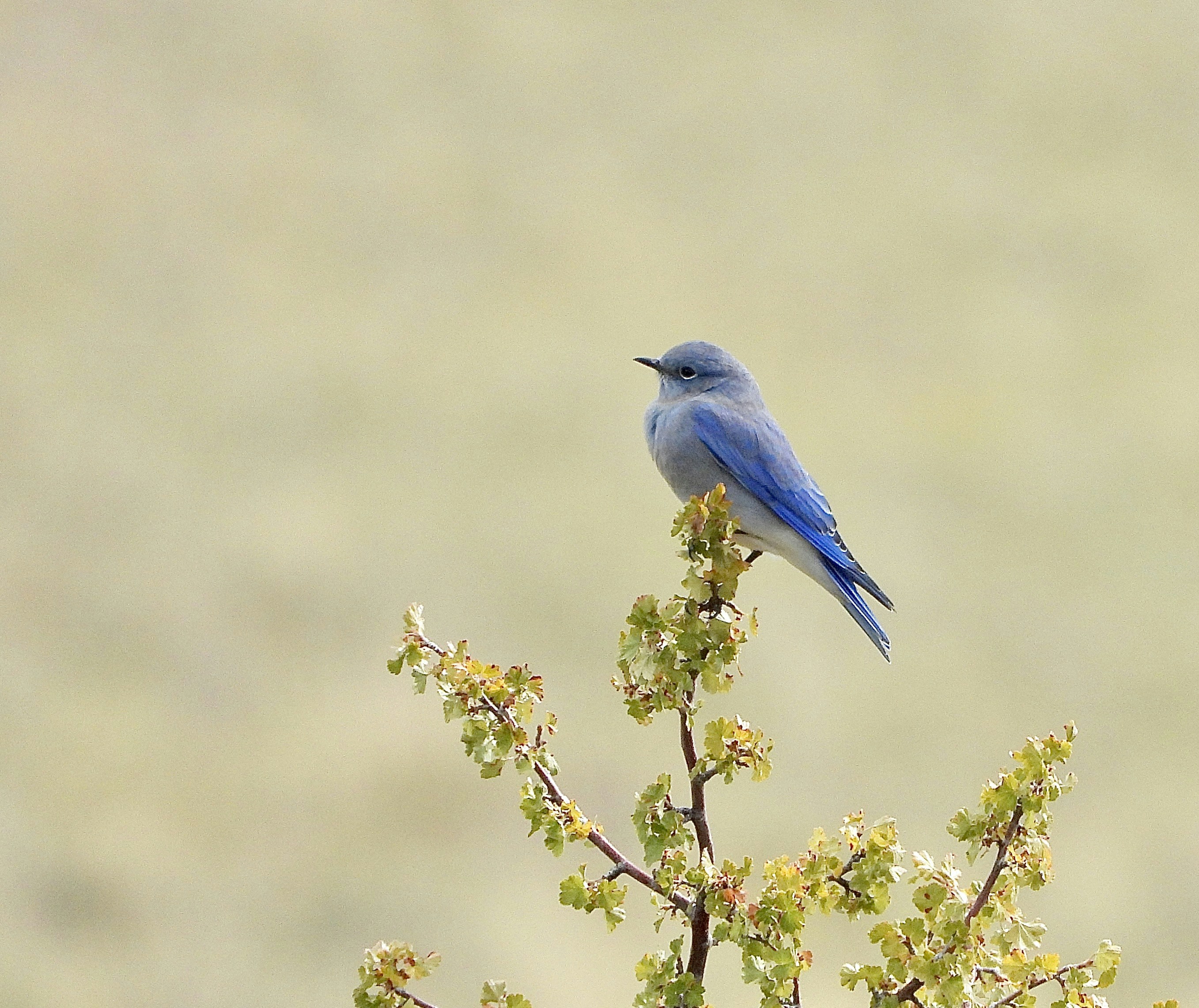 Photo by evergreene24