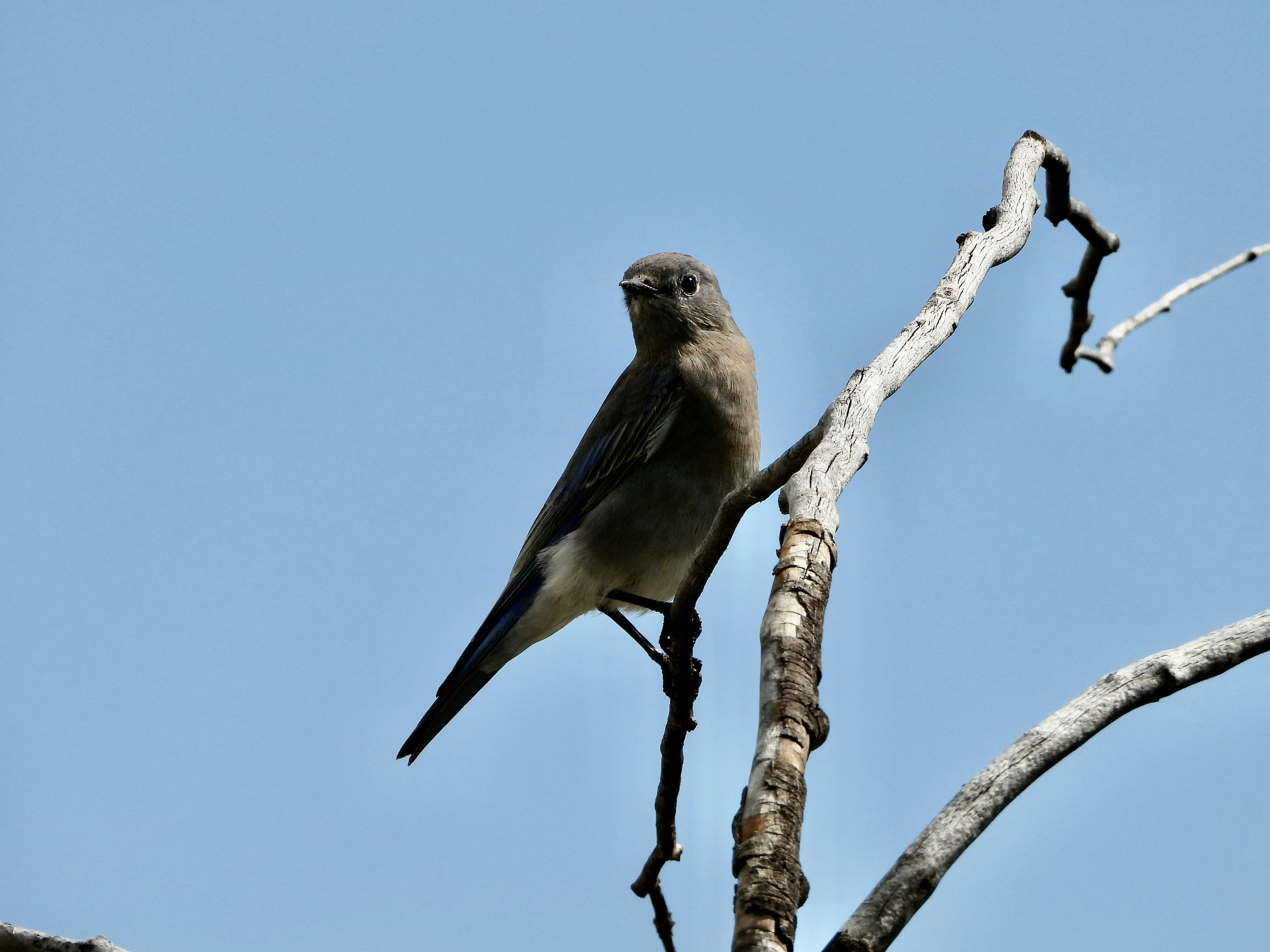 Photo by evergreene24