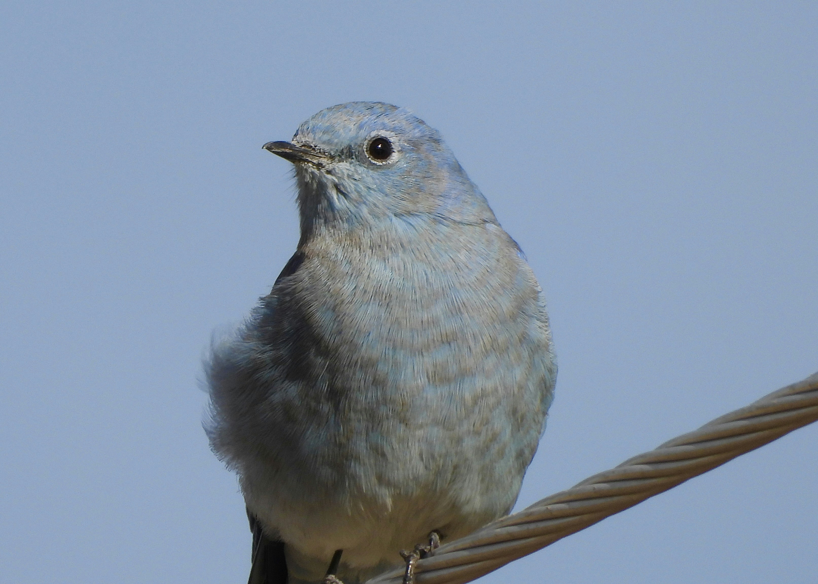 Photo by evergreene24