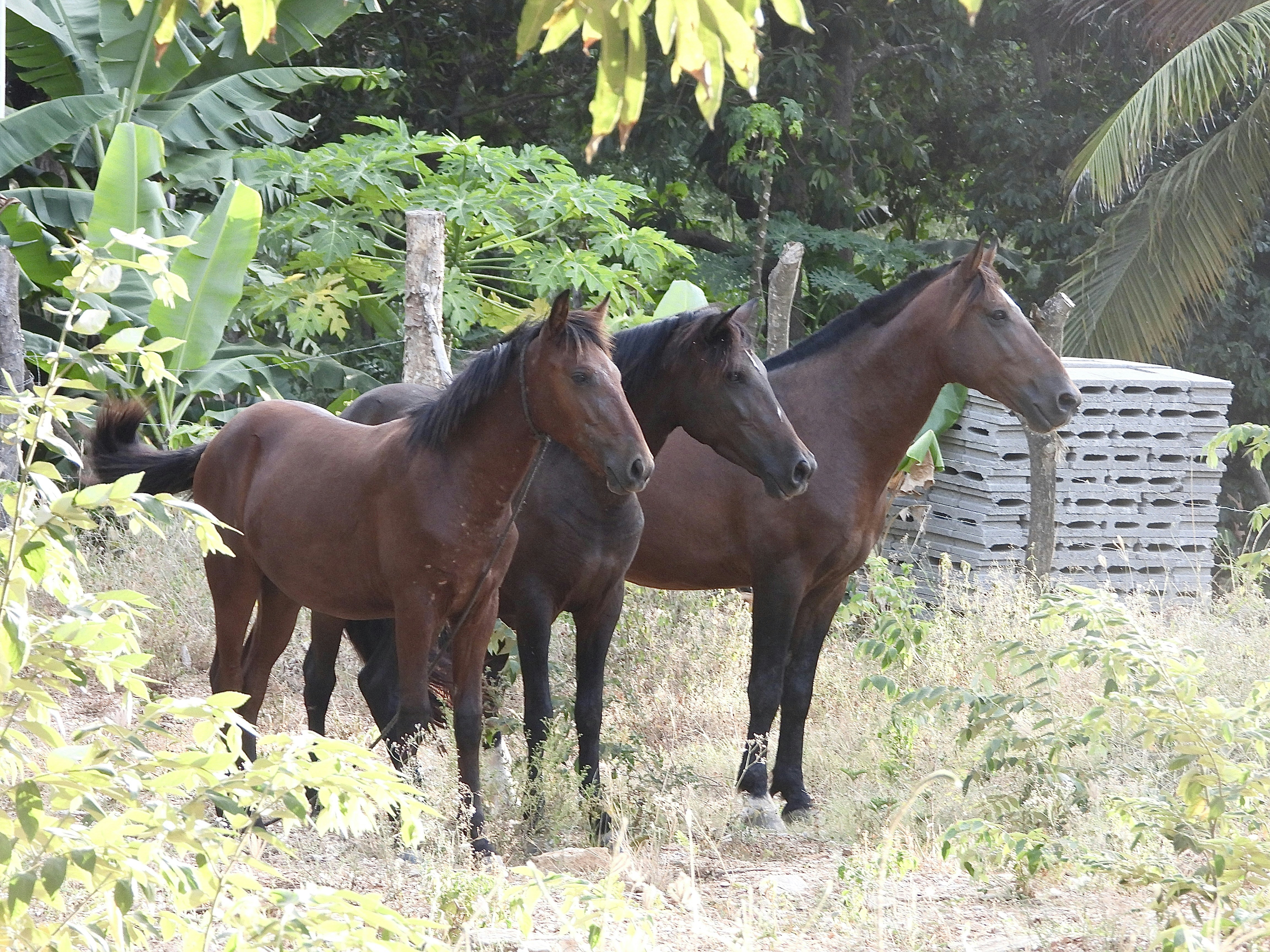 Photo by evergreene24