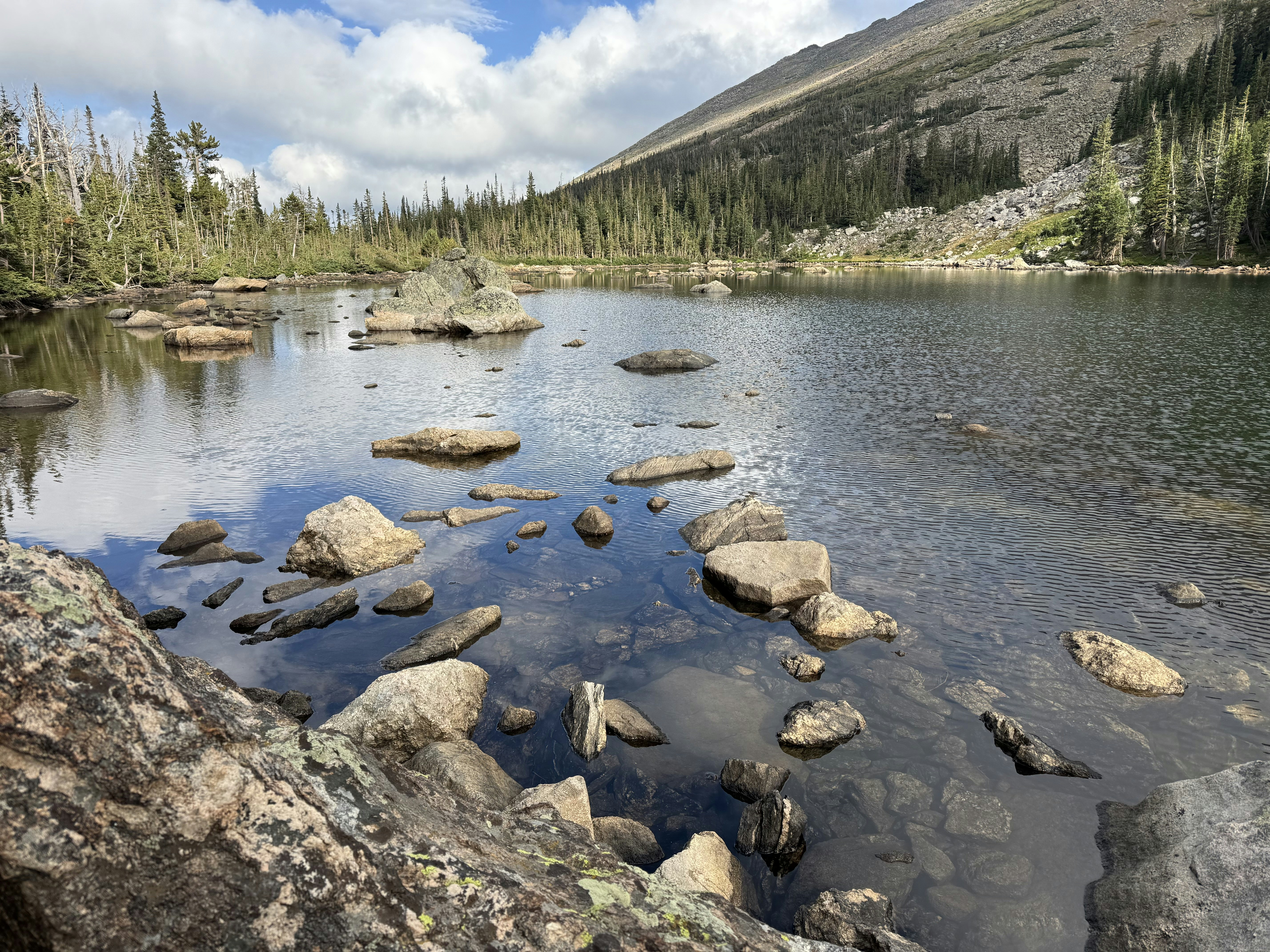 Photo by evergreene24