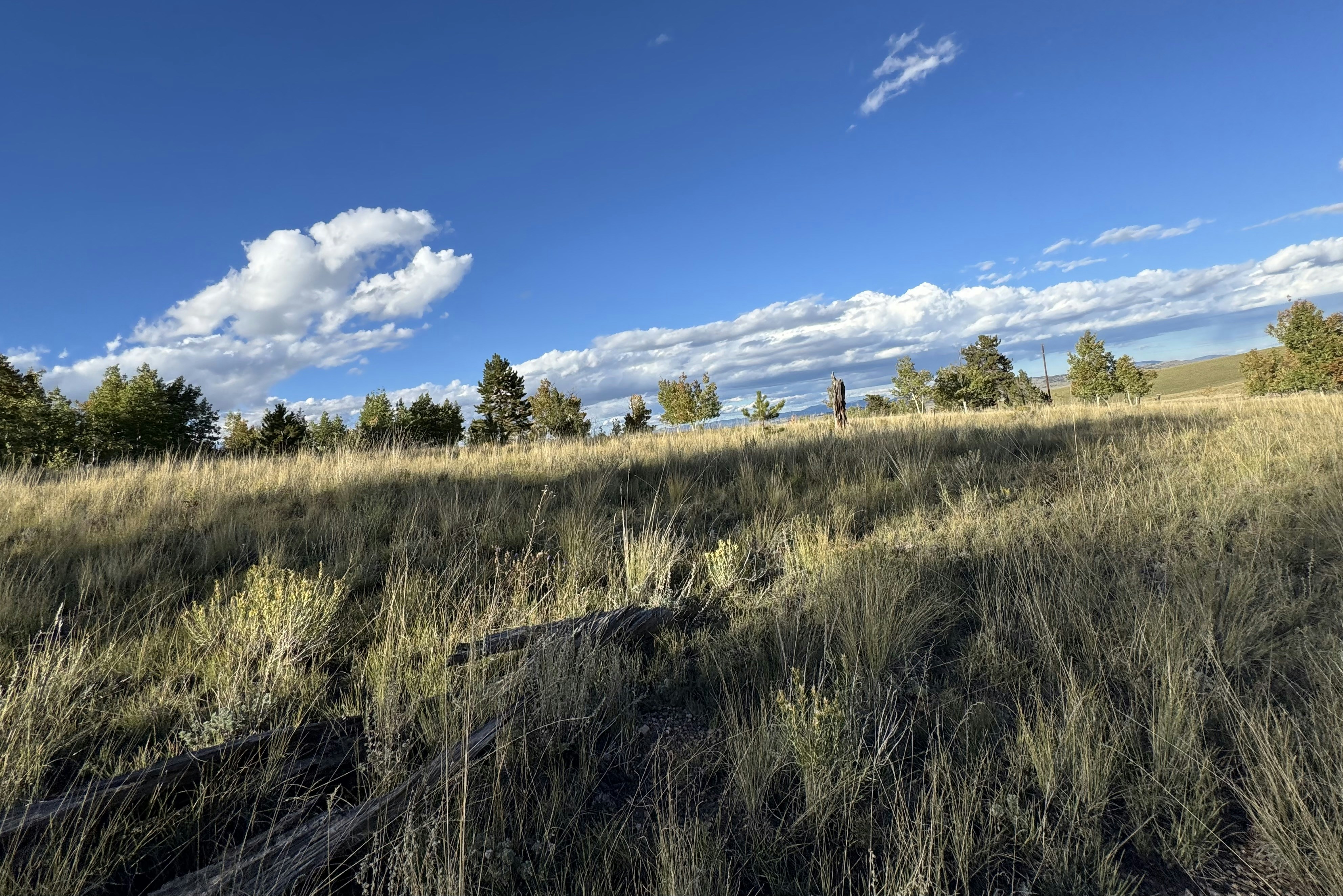 Photo by evergreene24