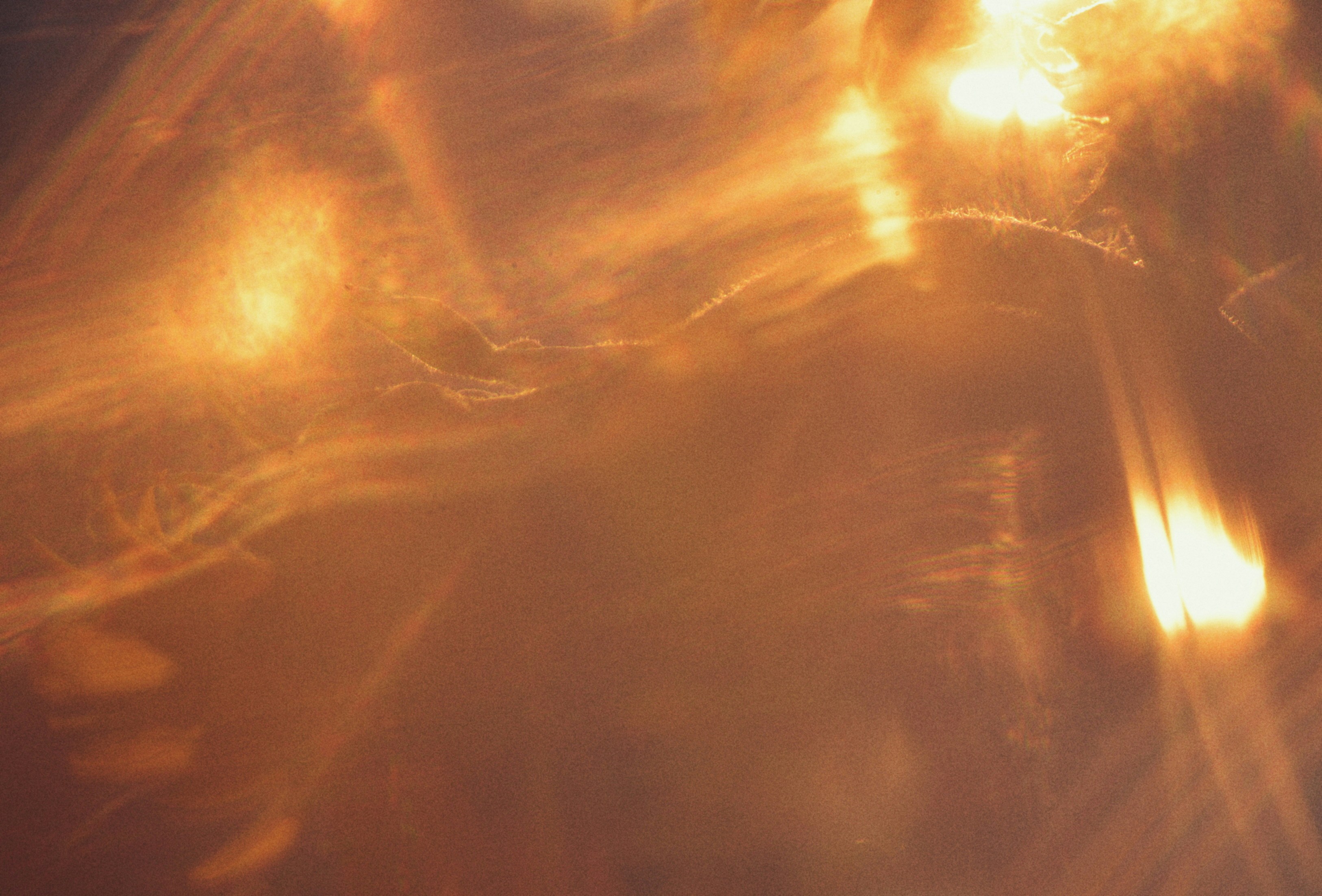 Photo by cherstve_pechivo