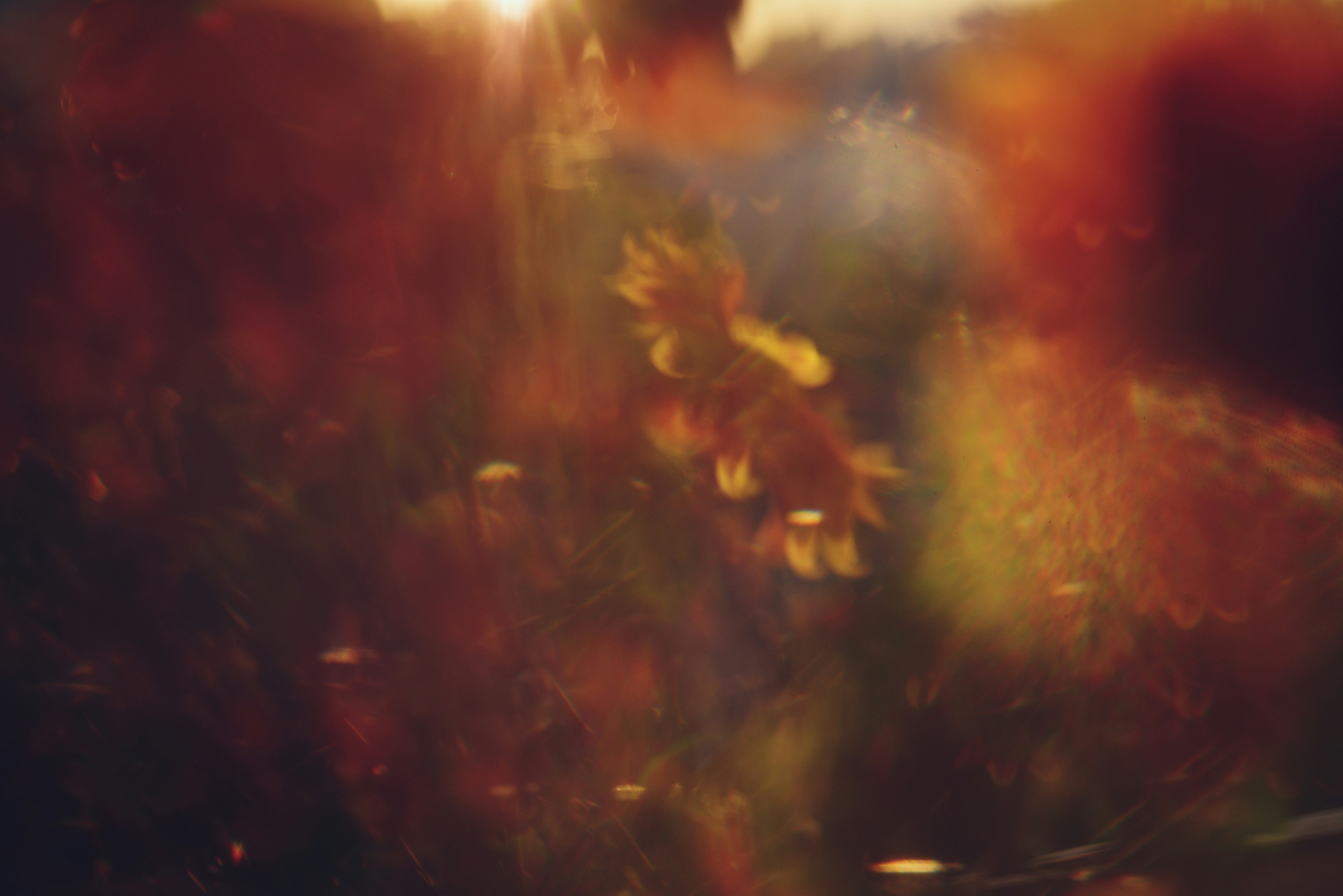 Photo by cherstve_pechivo