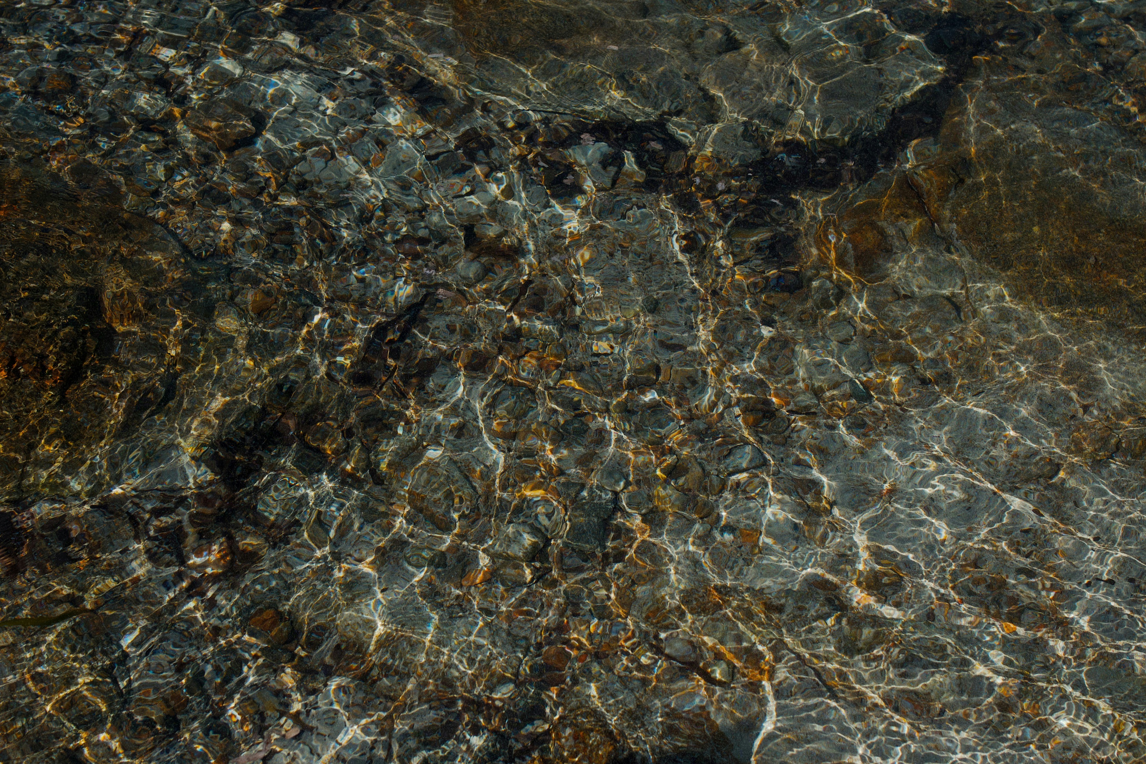 Photo by barnikakovacs