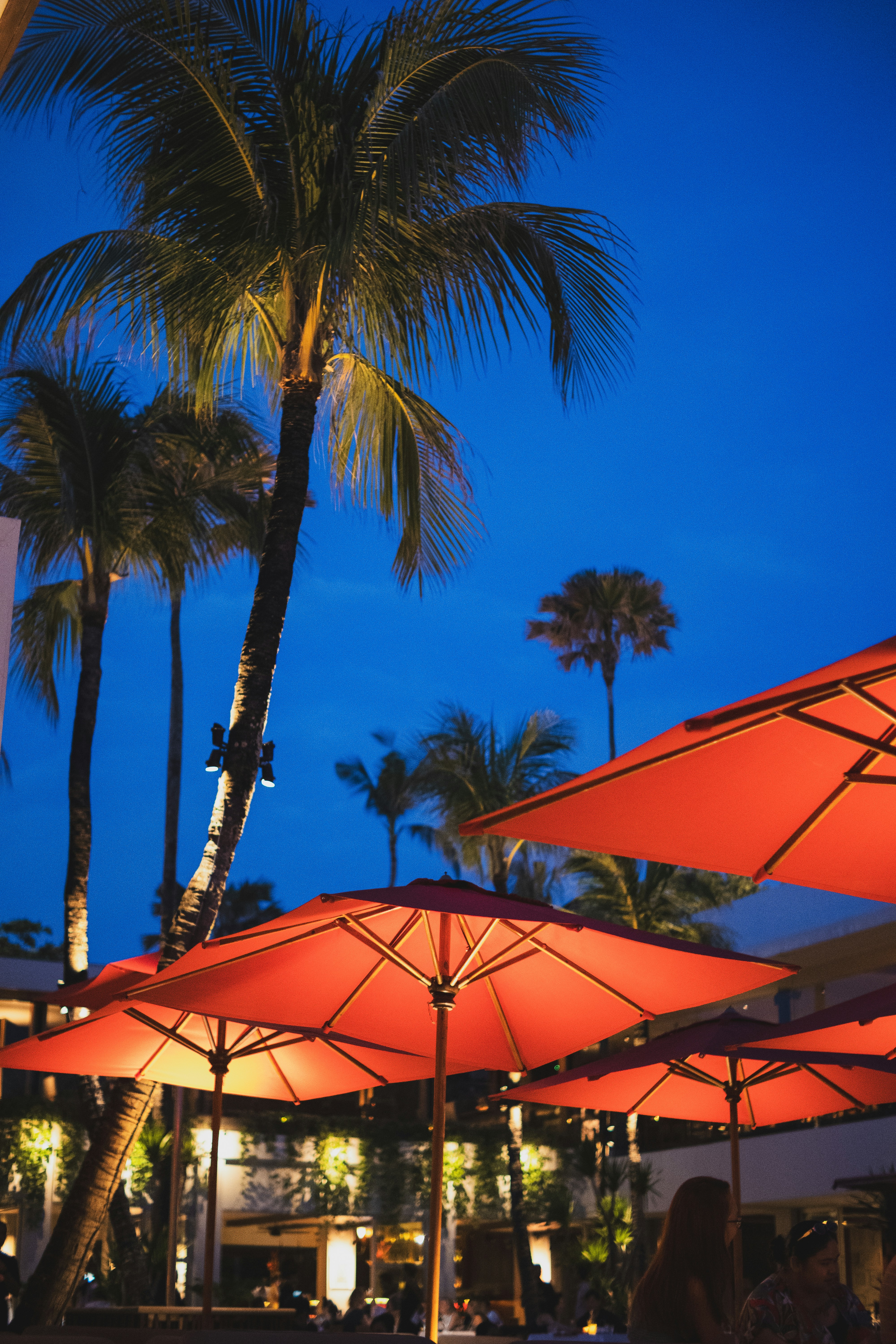 Red umbrellas and palm trees at dusk