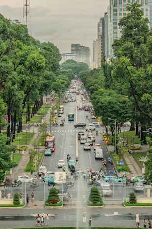 Busy city street with cars and trees under cloudy sky