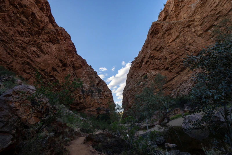 Best Time to Visit Alice Springs: Month-by-Month Guide for Every Type of Traveller
