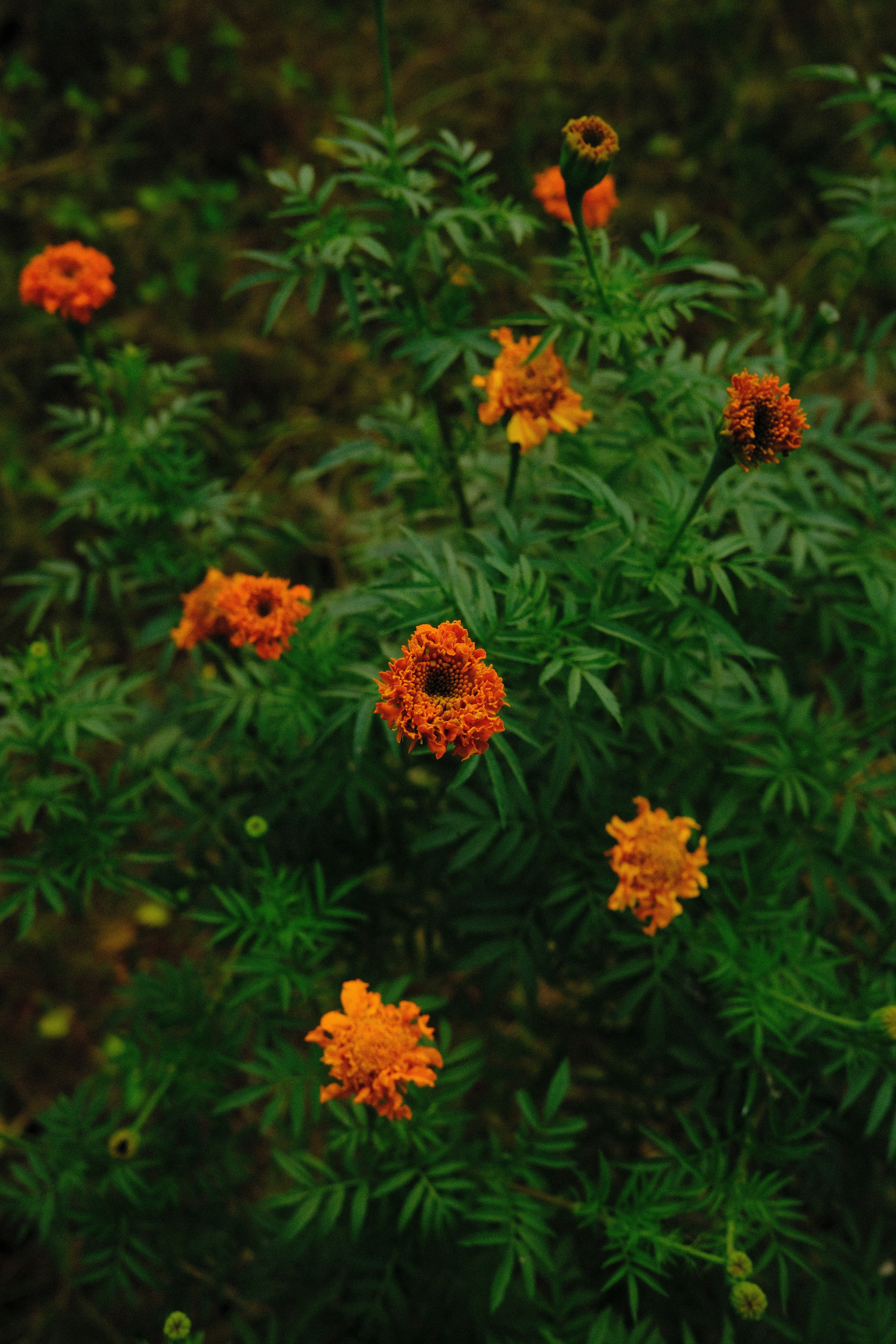 Photo by rahuulmiishra