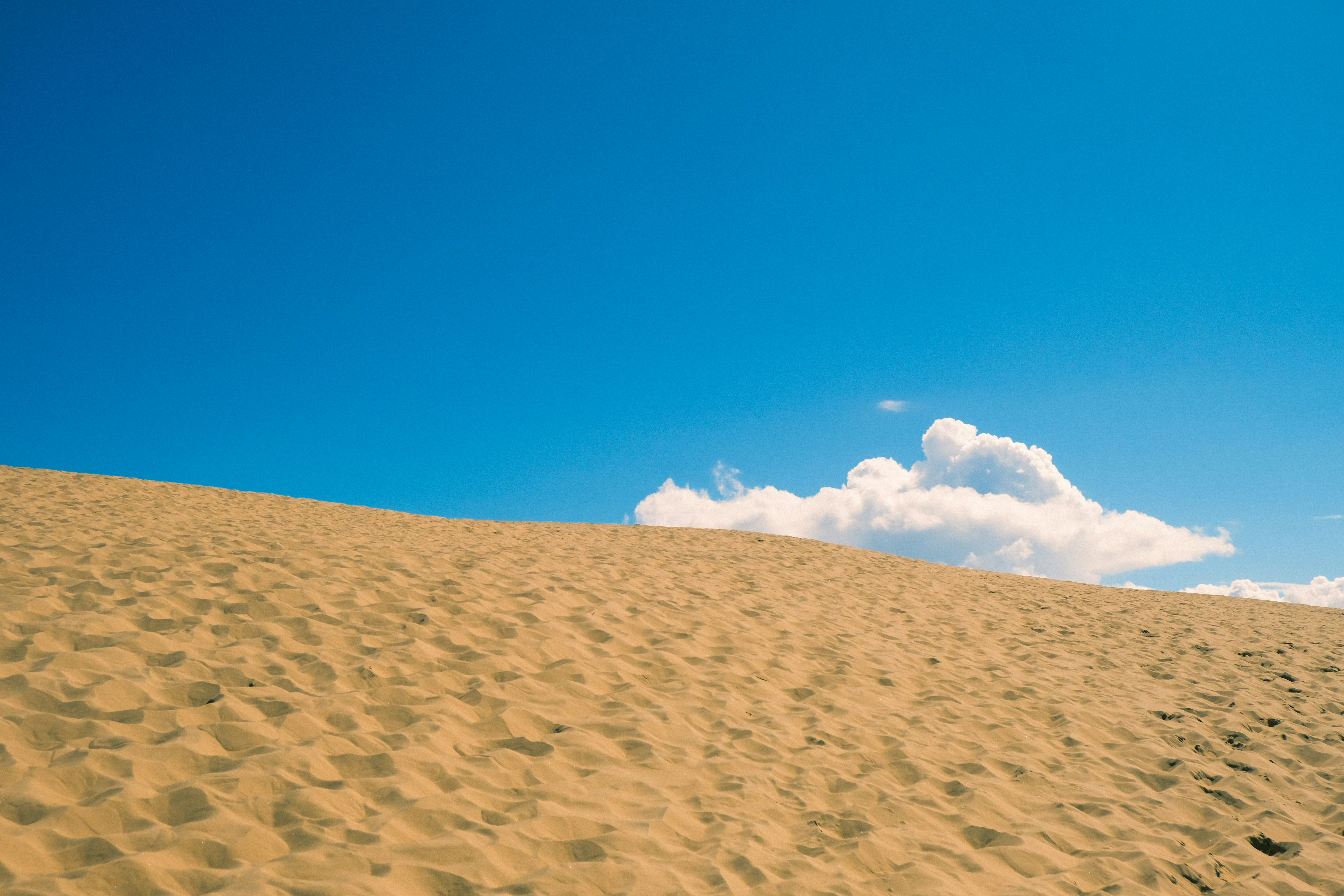 Photo by mads_leif_hansen