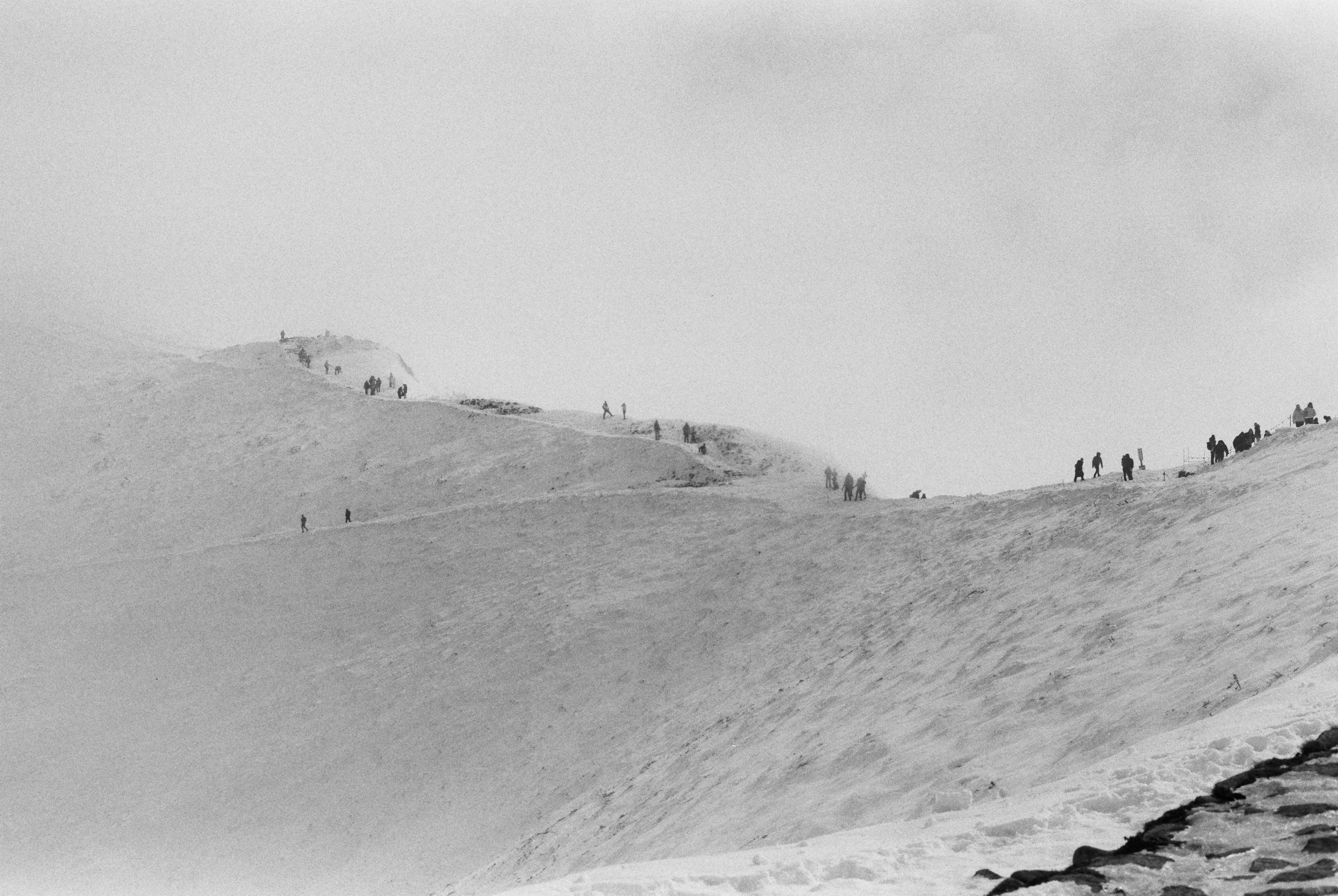 Photo by tsimur_asayonak