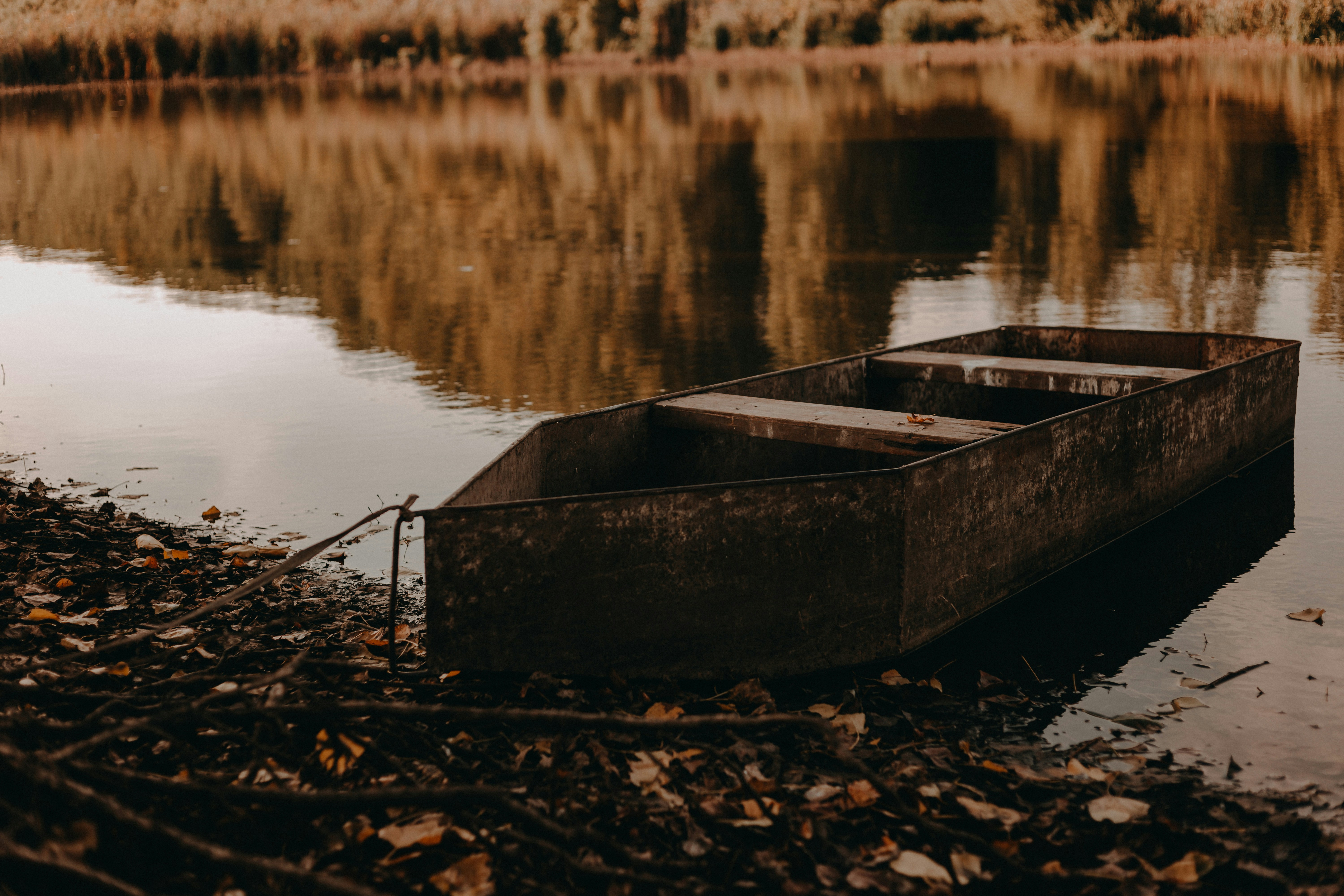 Photo by sylvester_s