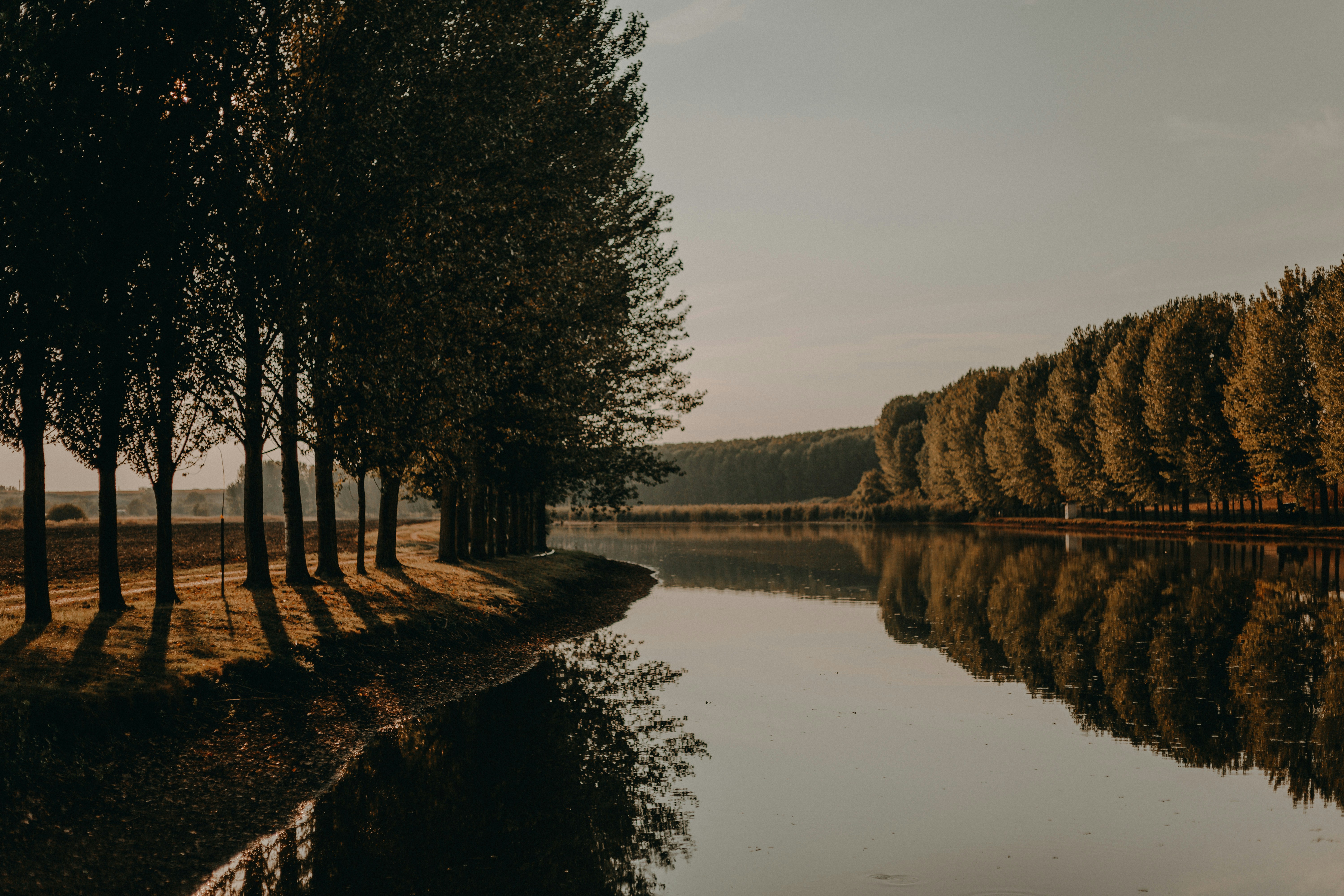 Photo by sylvester_s