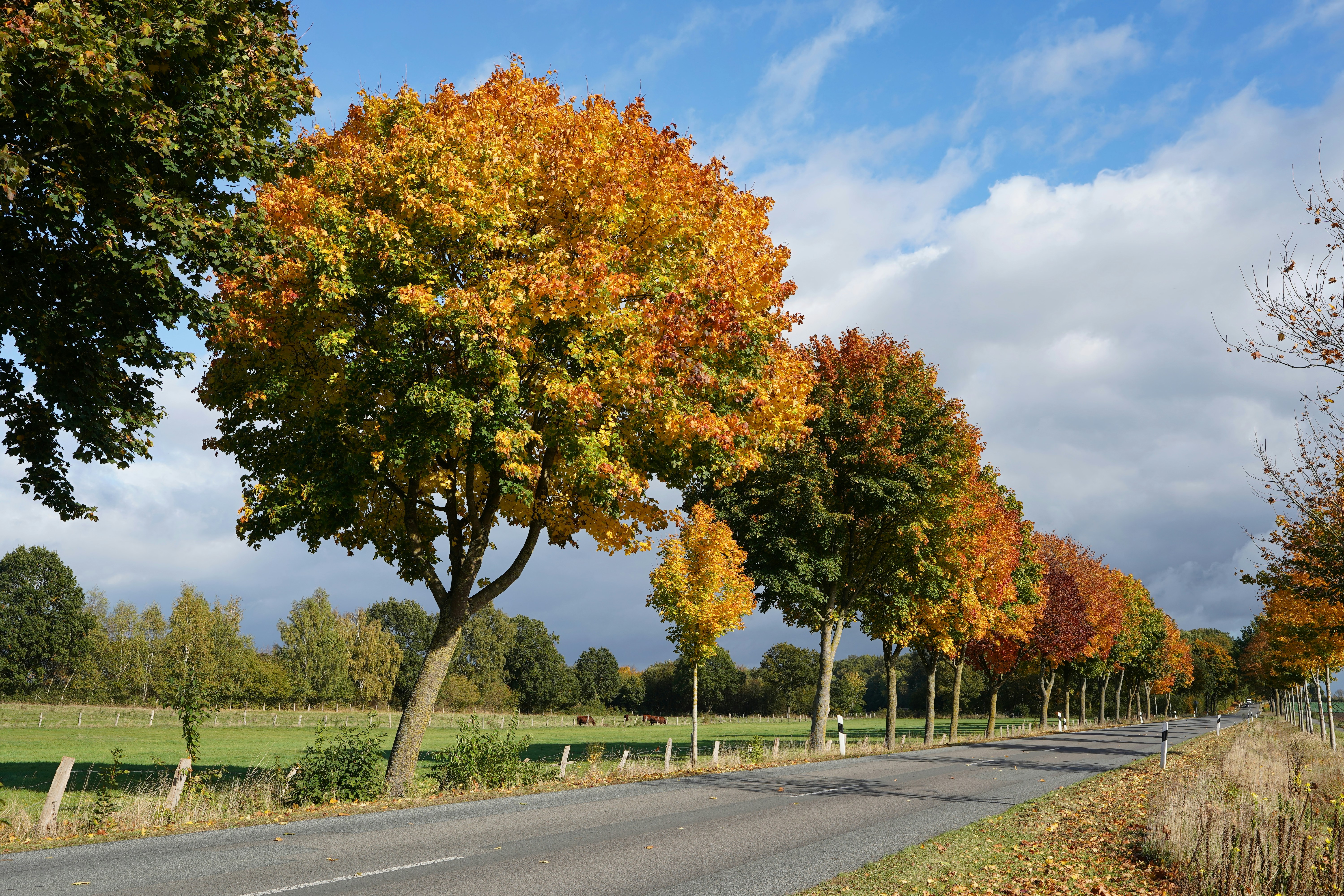 Photo by hamburgmeinefreundin