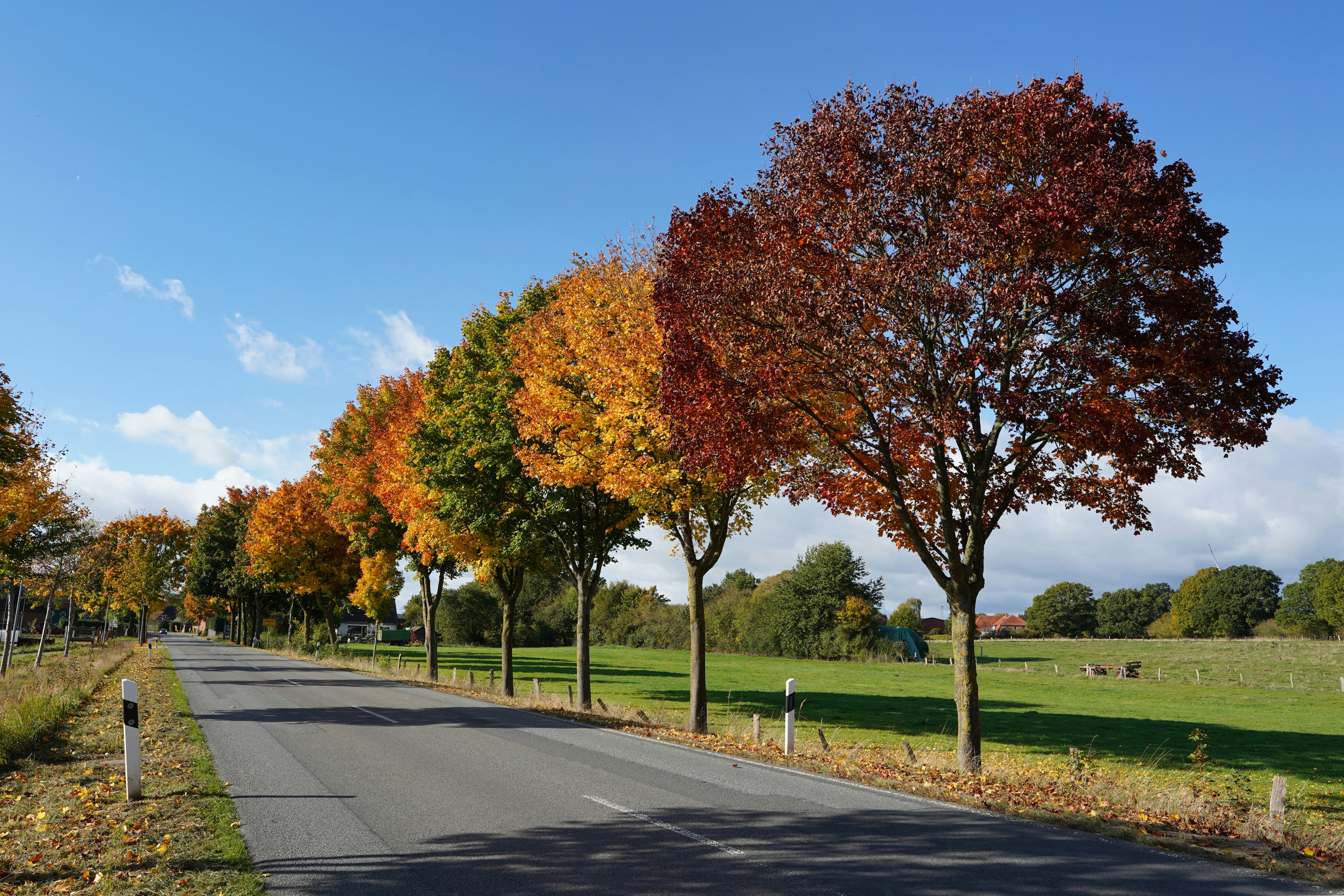 Photo by hamburgmeinefreundin