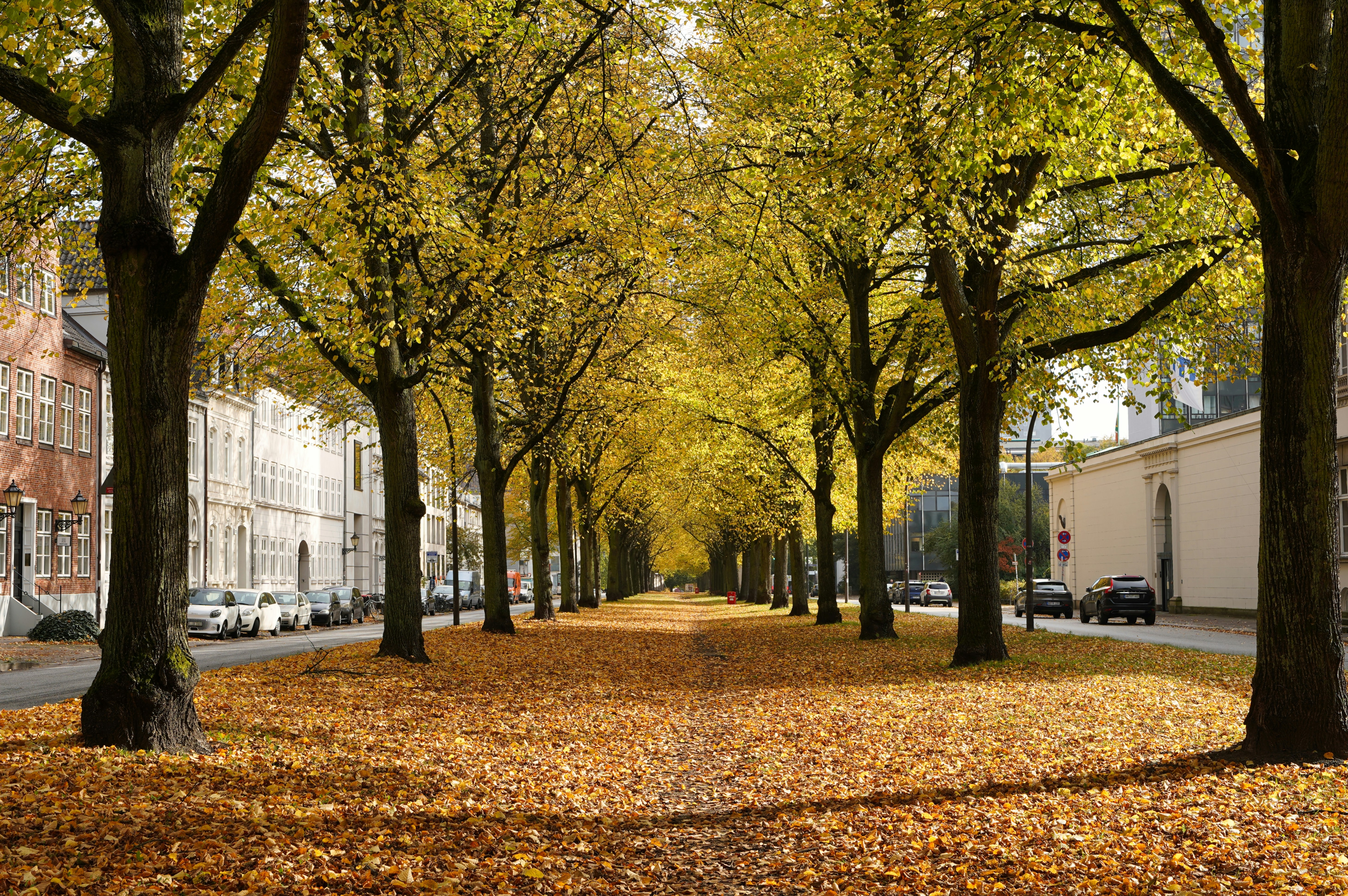 Photo by hamburgmeinefreundin