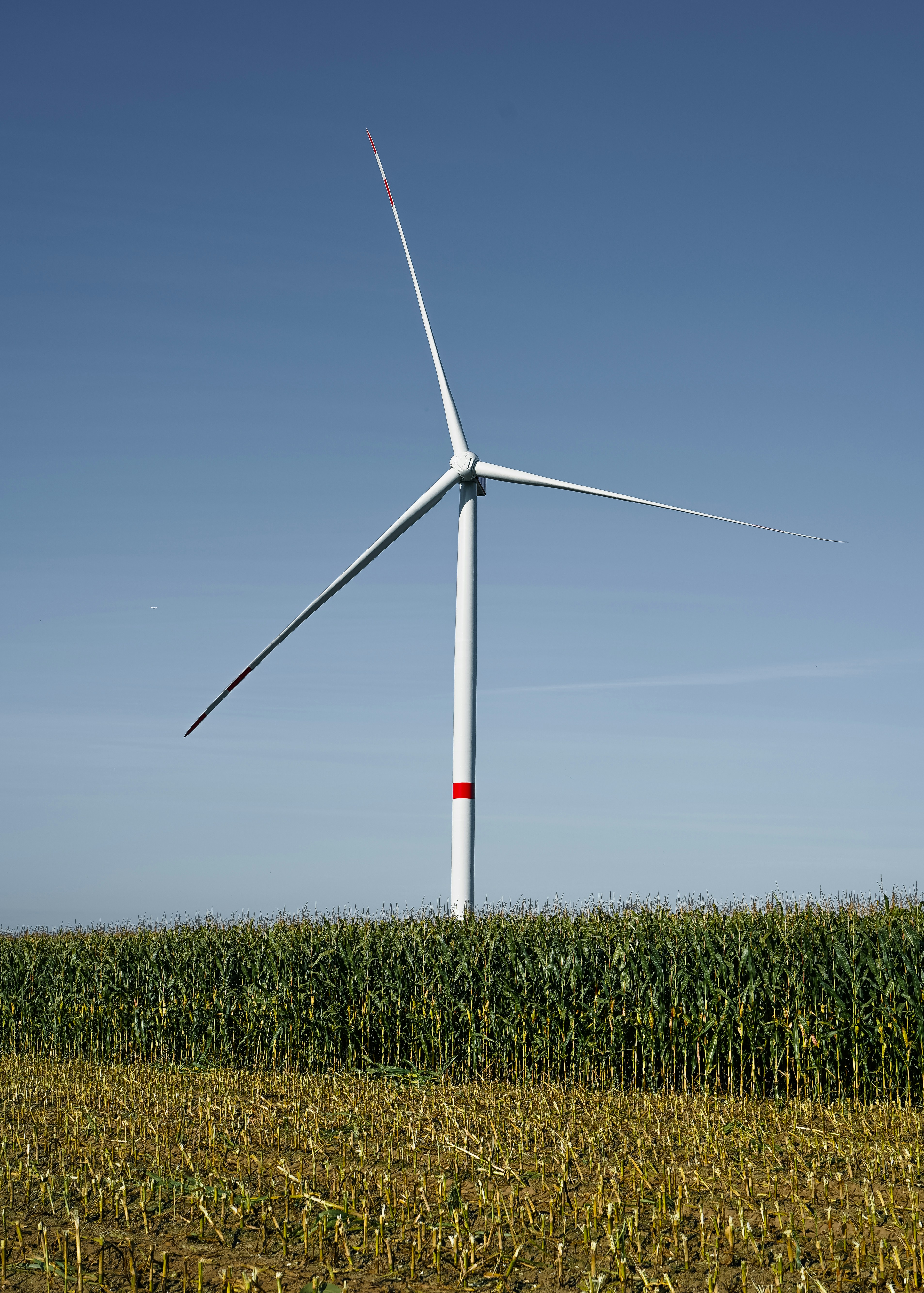 Photo by hamburgmeinefreundin