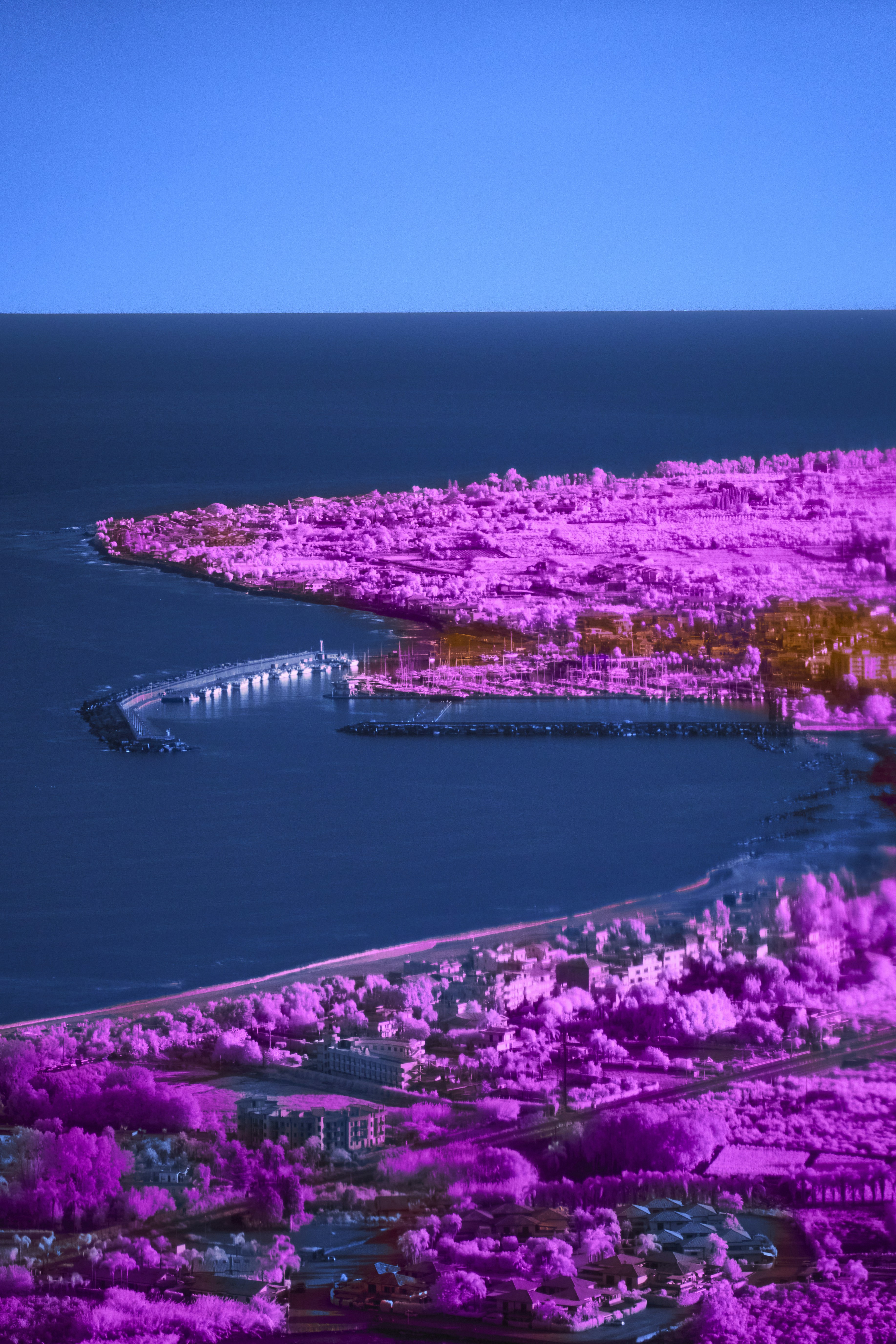 Vibrant pink landscape meets deep blue ocean and sky