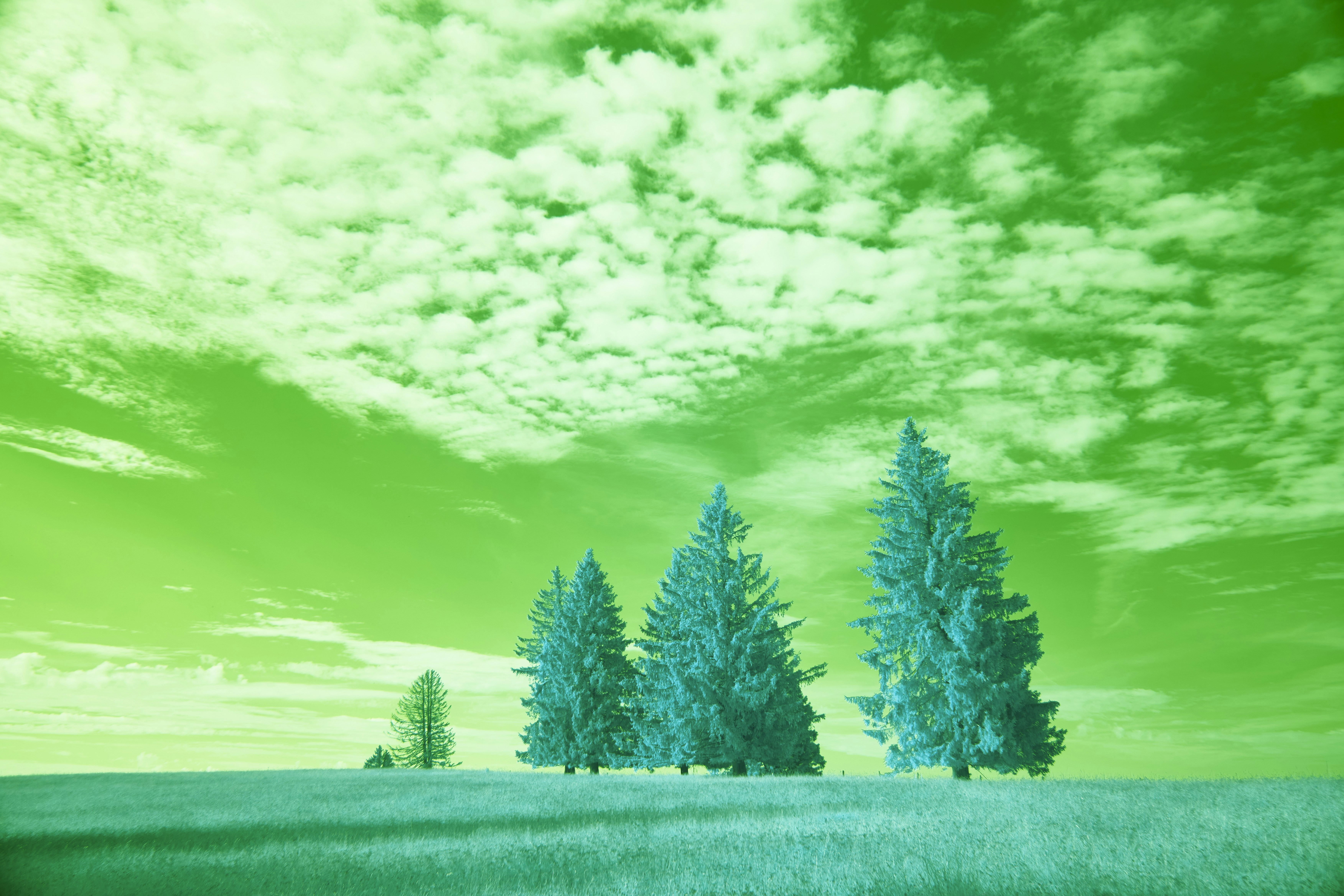 Photo by wolfgang_hasselmann