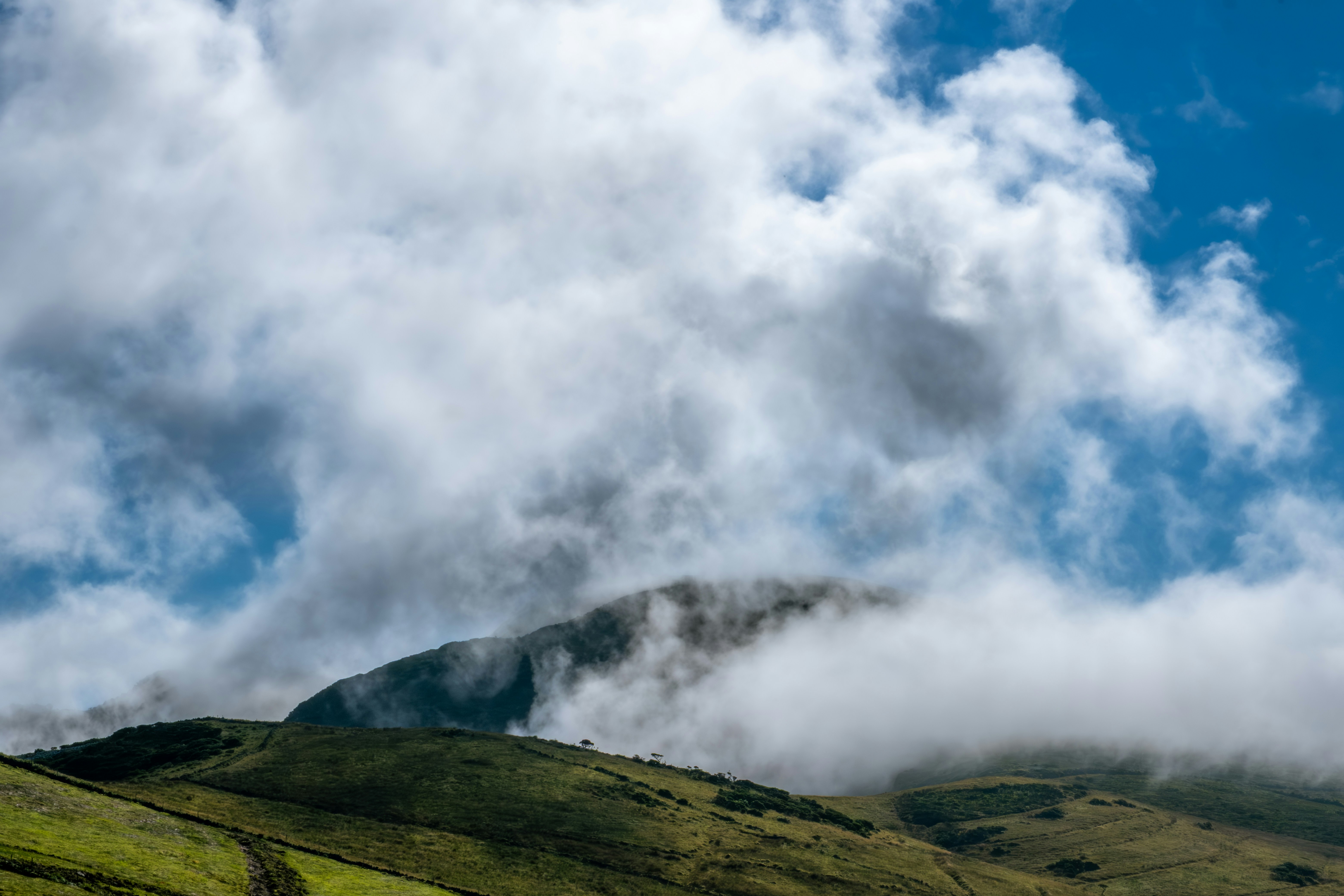 Photo by francesco_ungaro