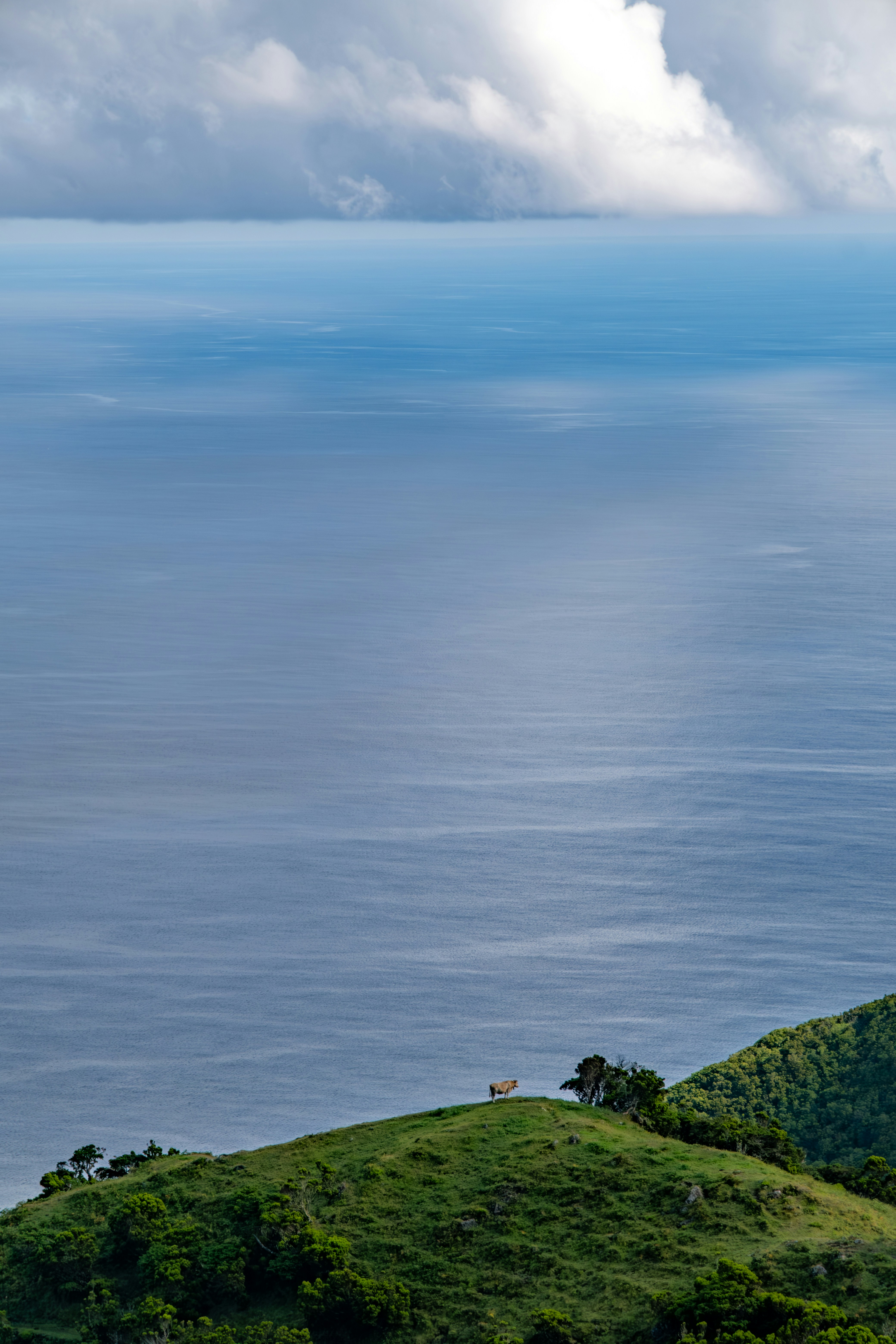 Photo by francesco_ungaro