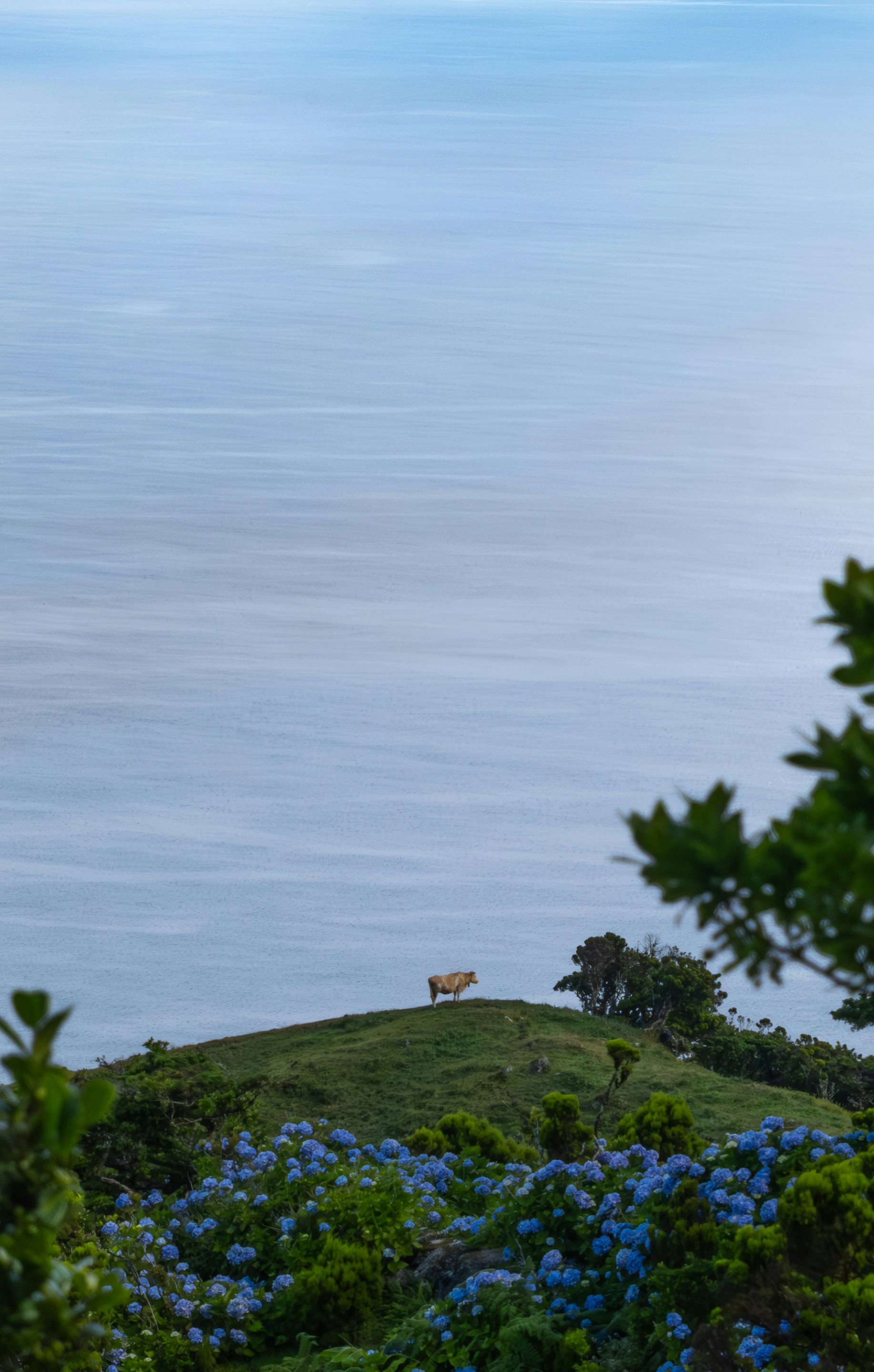 Photo by francesco_ungaro