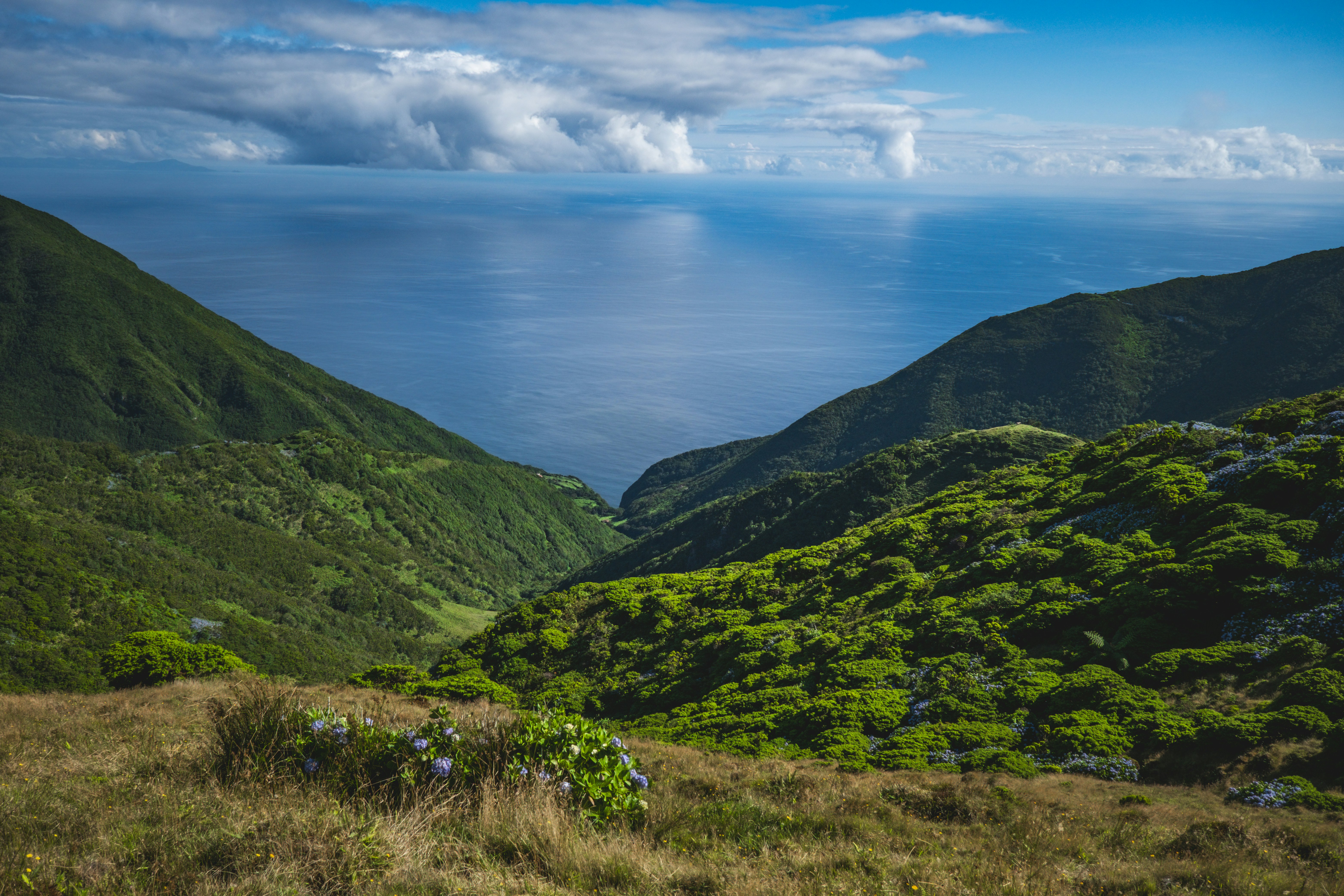 Photo by francesco_ungaro