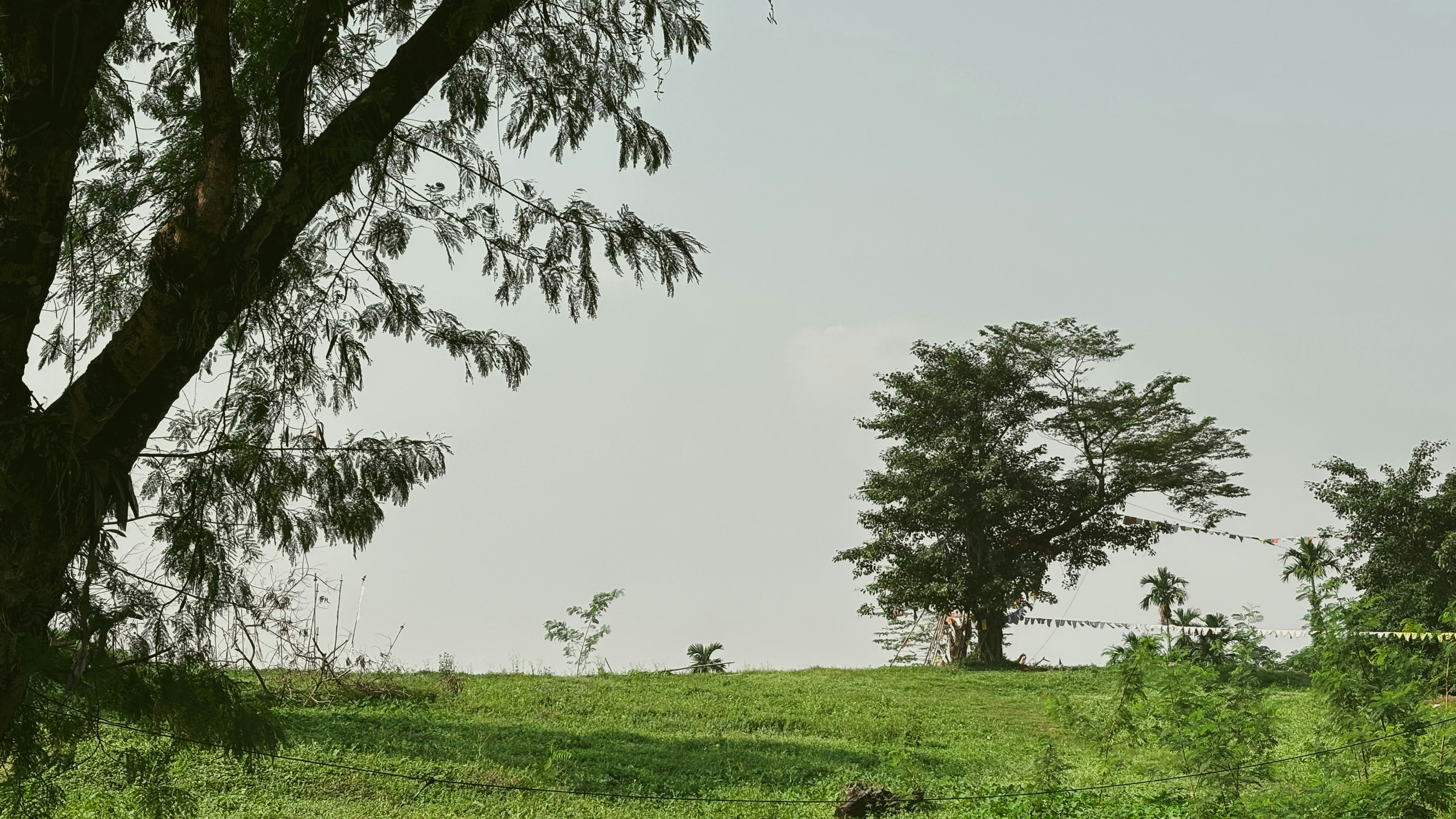 Photo by rkdotdesign