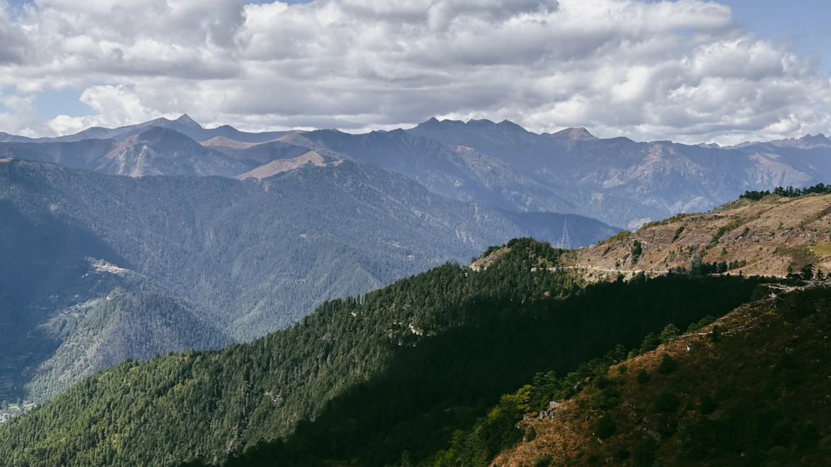 Druk Path Trek photo 2